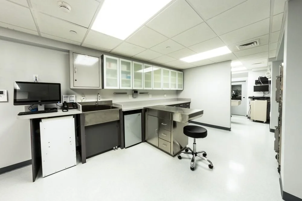 Sutton Animal Hospital Exam Area