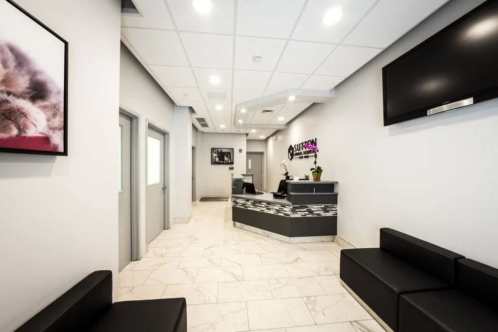 Sutton Animal Hospital Reception