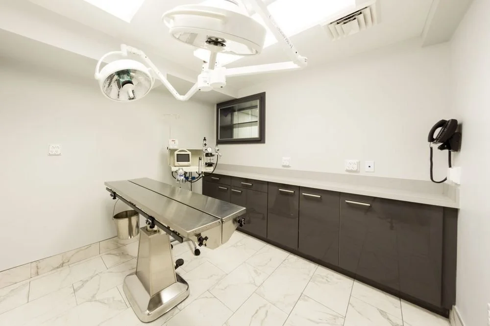 Sutton Animal Hospital Operating Room