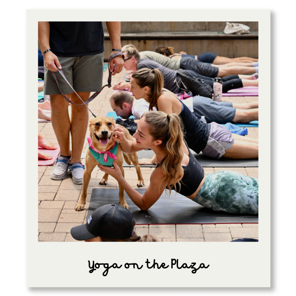 Yoga on The Plaza at 50th and France