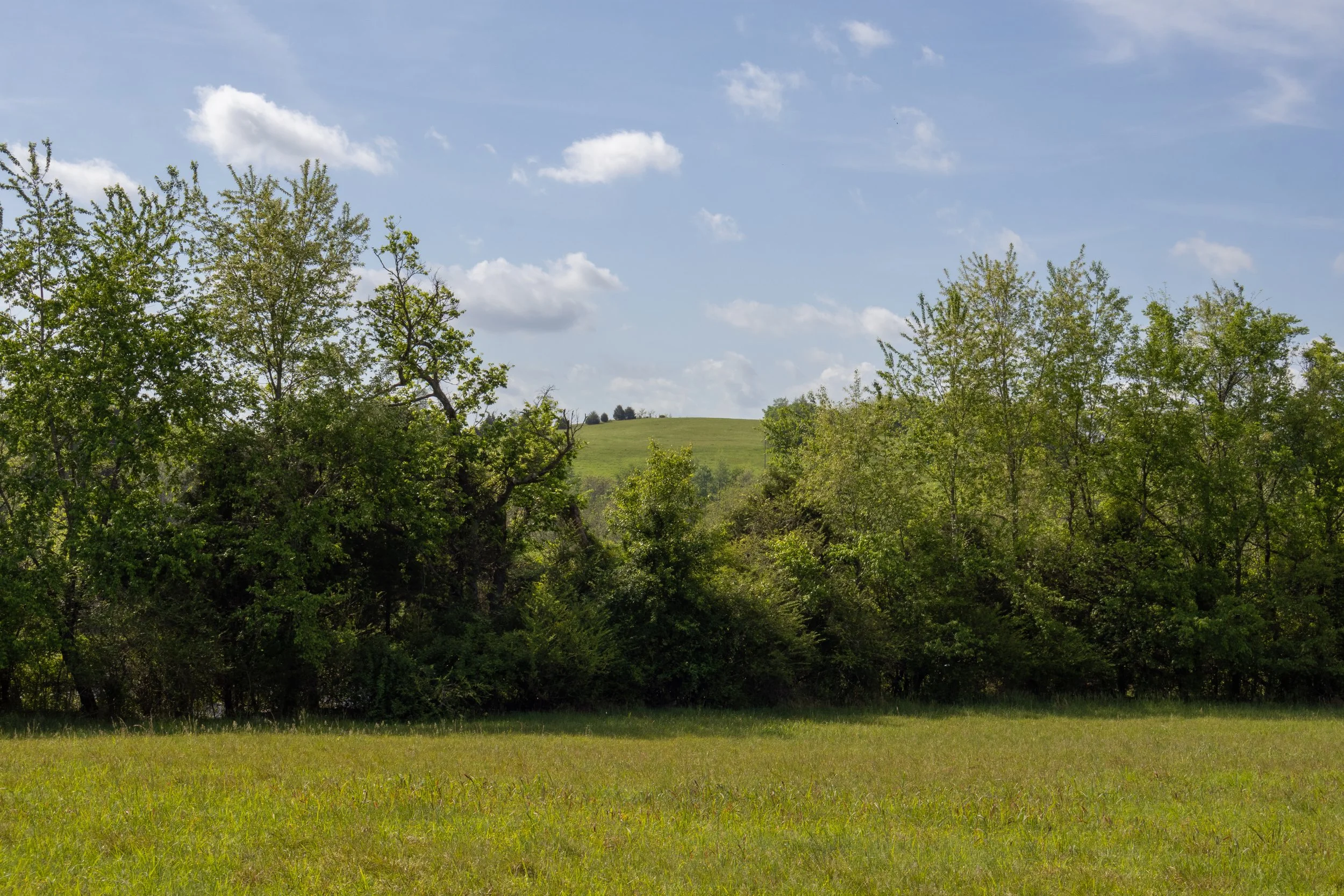 View of the surrounding hills from the John Laird Cemetery