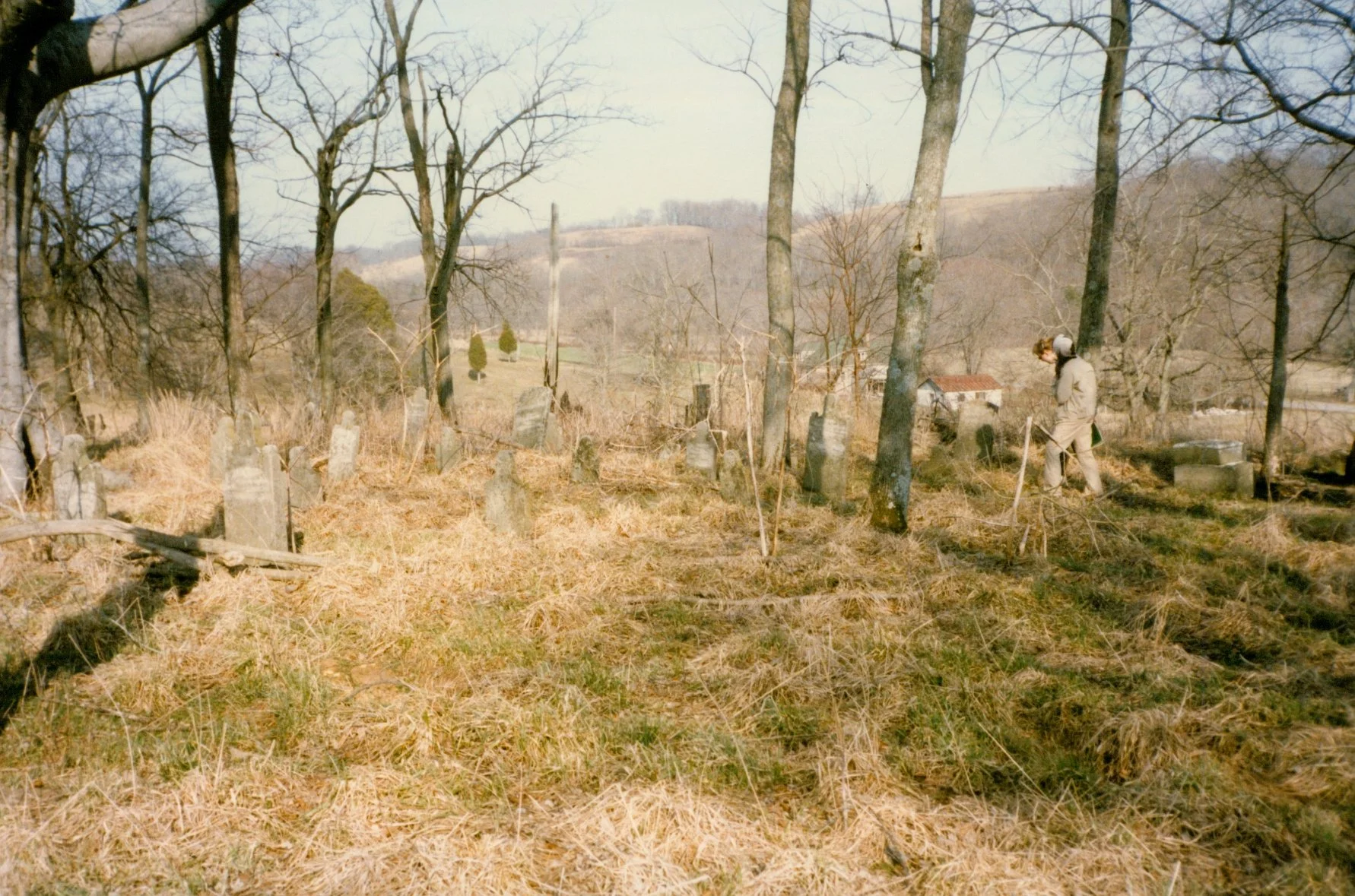 The John Laird Cemetery after years of cattle grazing and lack of maintenance