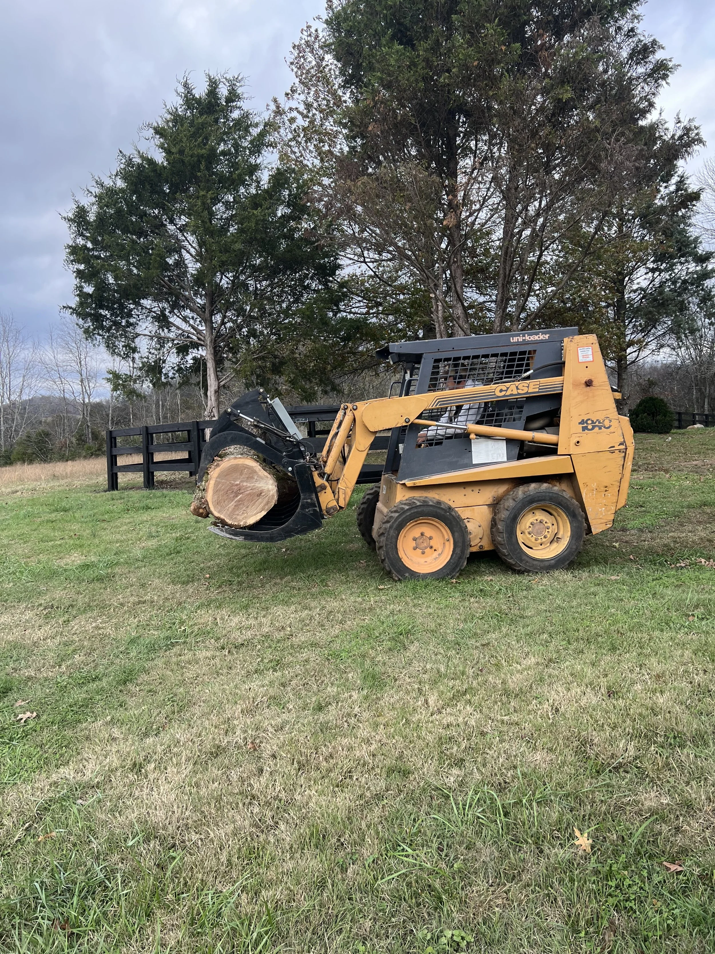 Tree removal (continued)