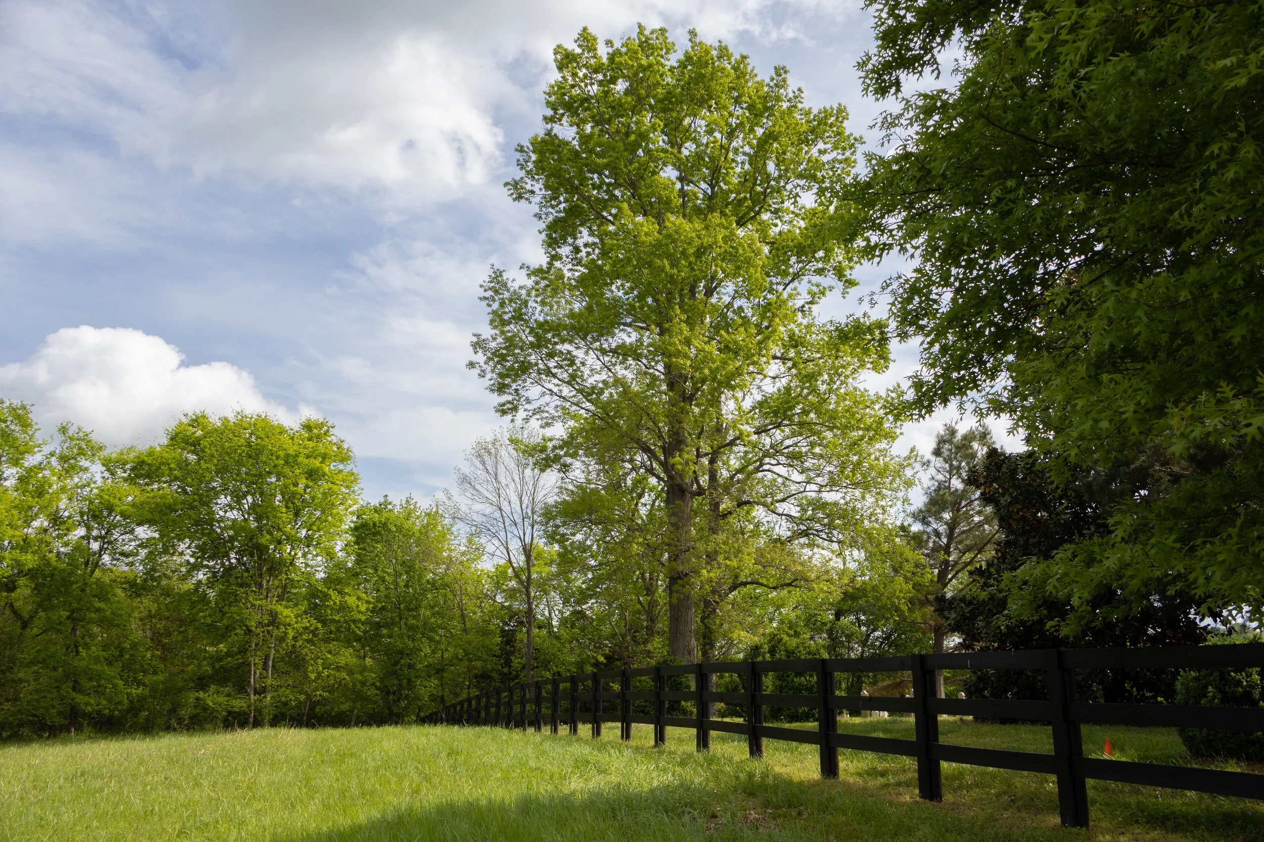 View of the cemetery from outside the fence