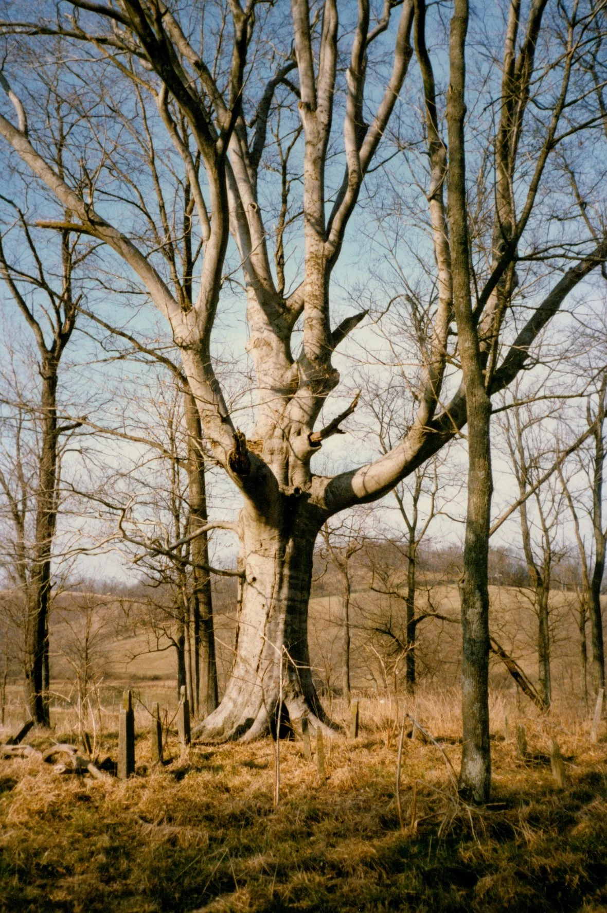The John Laird Cemetery