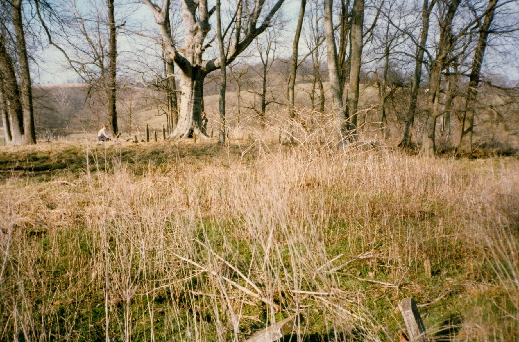 The John Laird Cemetery