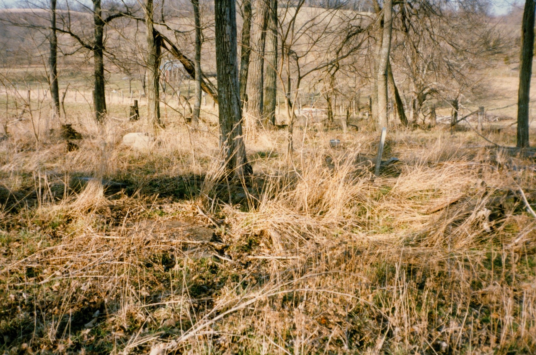 The John Laird Cemetery