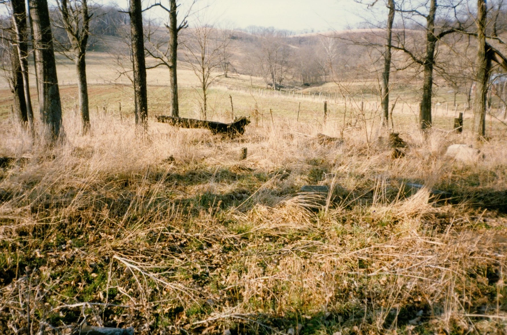 The John Laird Cemetery