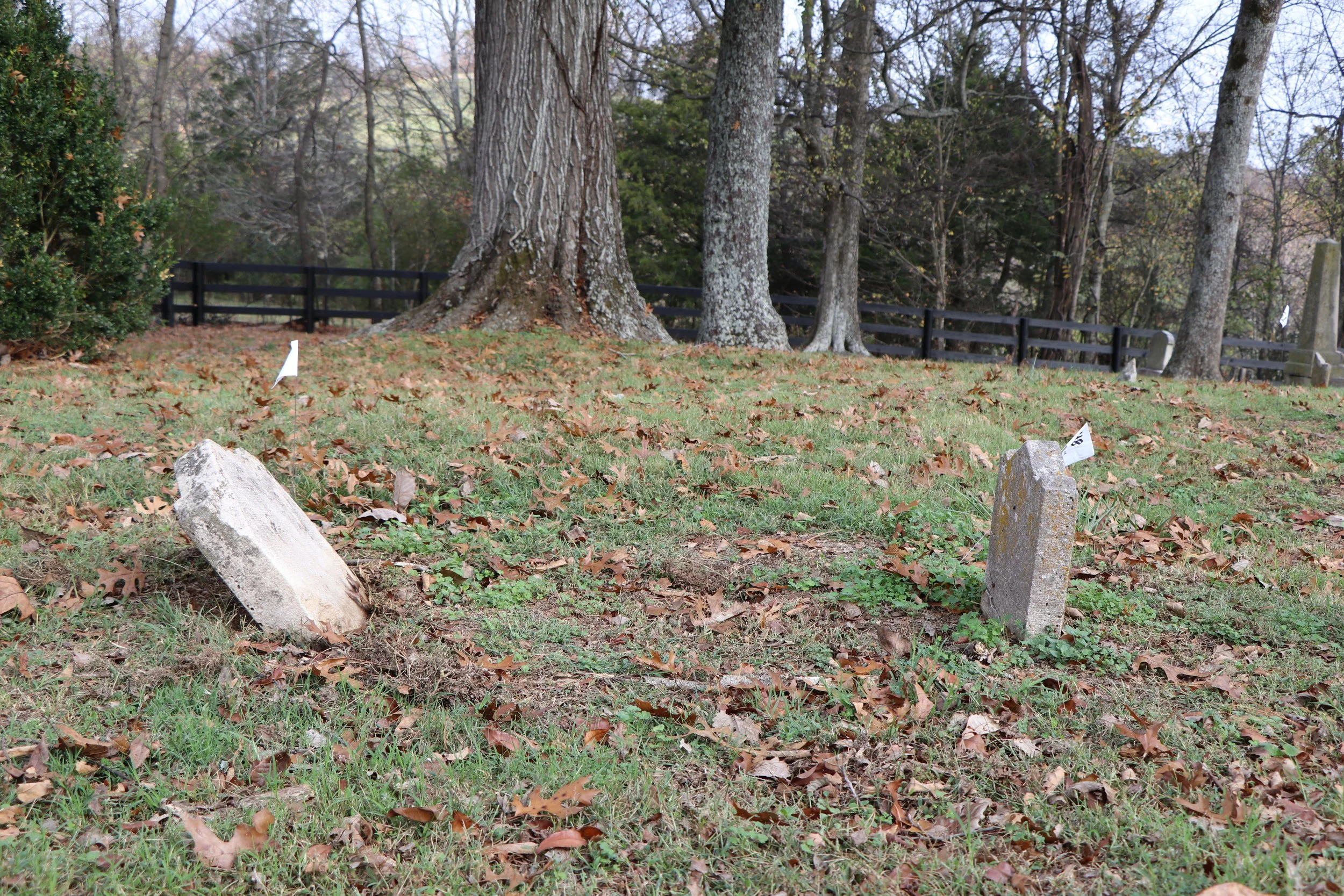 Cemetery headstones before restoration (continued)