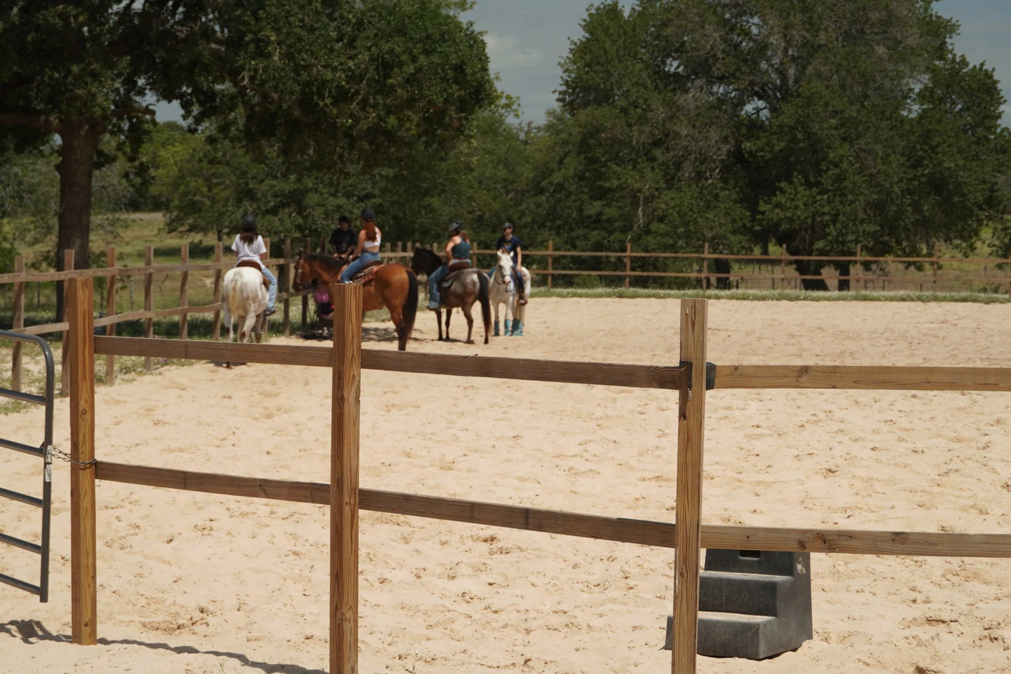 Group riding lesson in the outdoor arena at The Gentle Cowgirl in Stockdale, TX — western horseback riding lessons for all ages near San Antonio