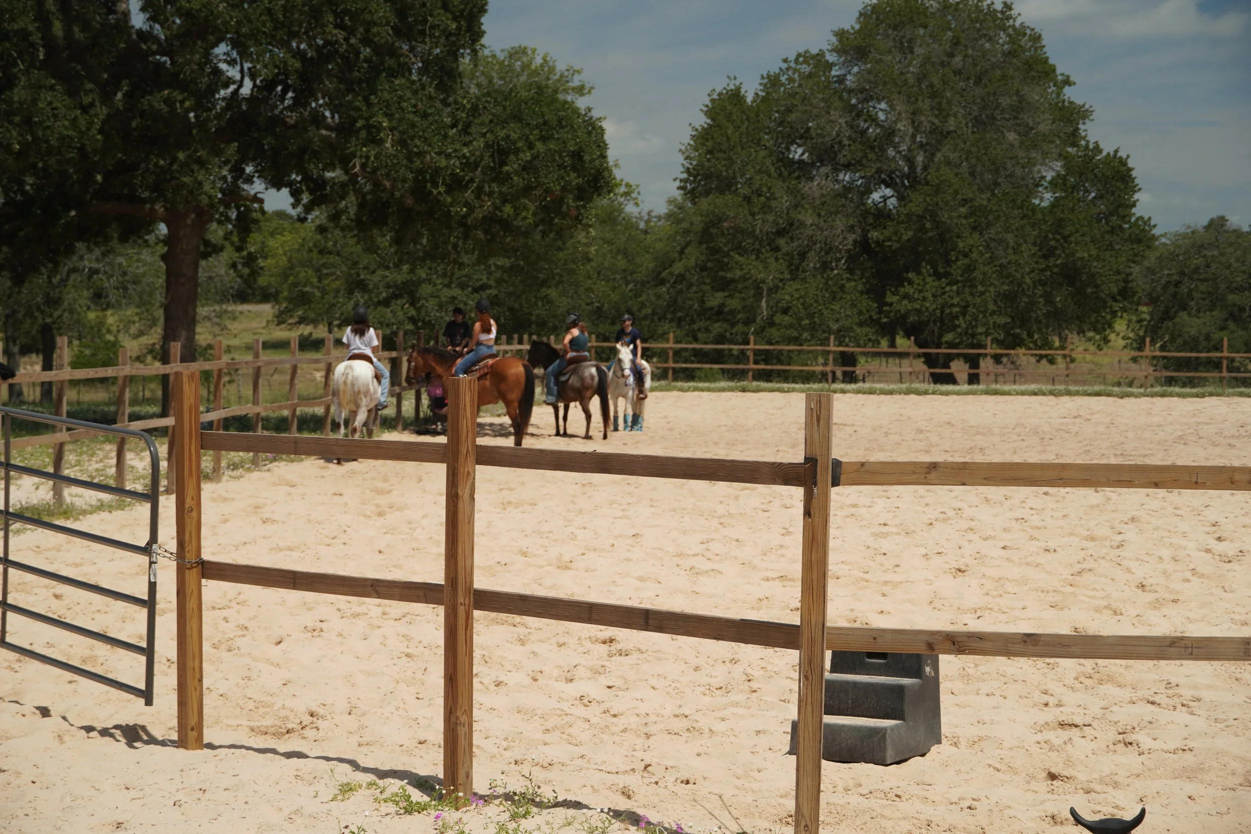 Riders in a western group lesson inside the sand arena at The Gentle Cowgirl in Stockdale, TX — horseback riding lessons for beginners and all skill levels near San Antonio