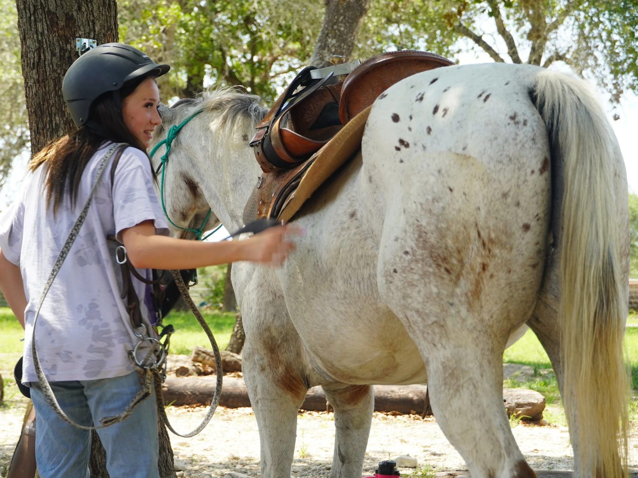 Student grooming and tacking up a spotted horse at The Gentle Cowgirl in Stockdale, TX — ground up horsemanship lessons teaching grooming, tacking, and horse care near San Antonio