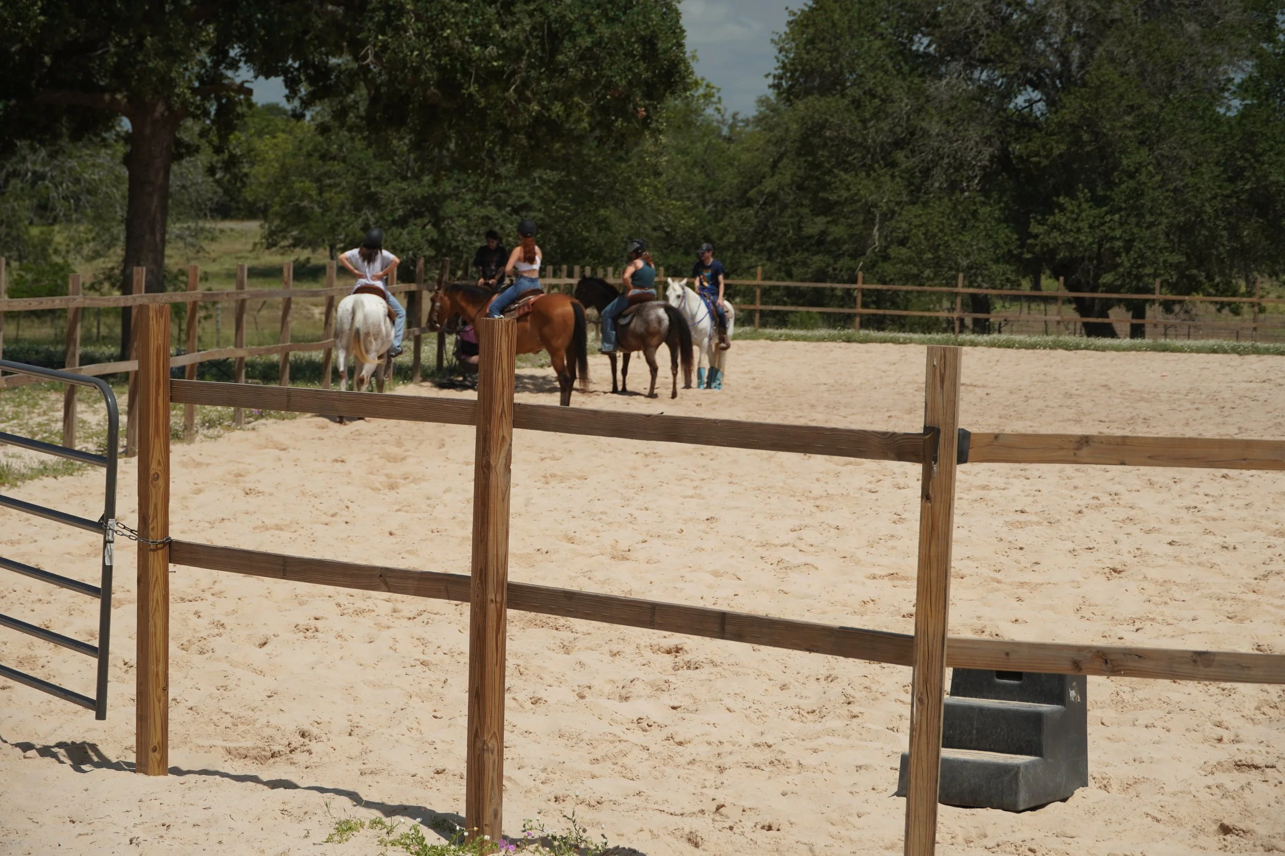Riders in a group western riding lesson in the outdoor arena at The Gentle Cowgirl in Stockdale, TX — horseback riding lessons for all ages and skill levels near San Antonio
