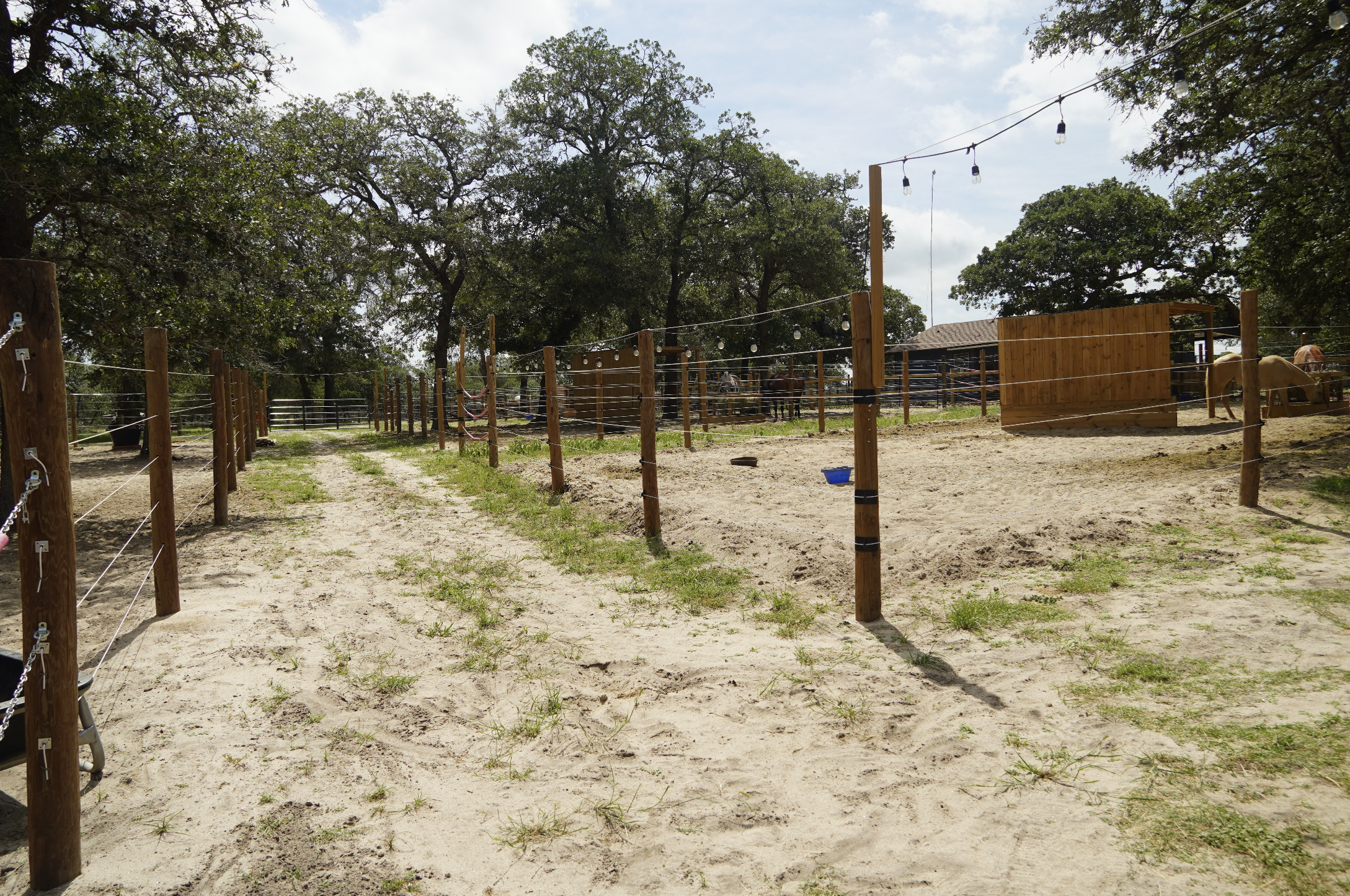 Turnout paddocks and grounds at The Gentle Cowgirl horse boarding facility in Stockdale, TX — spacious, well-maintained turnout areas for boarded horses near San Antonio