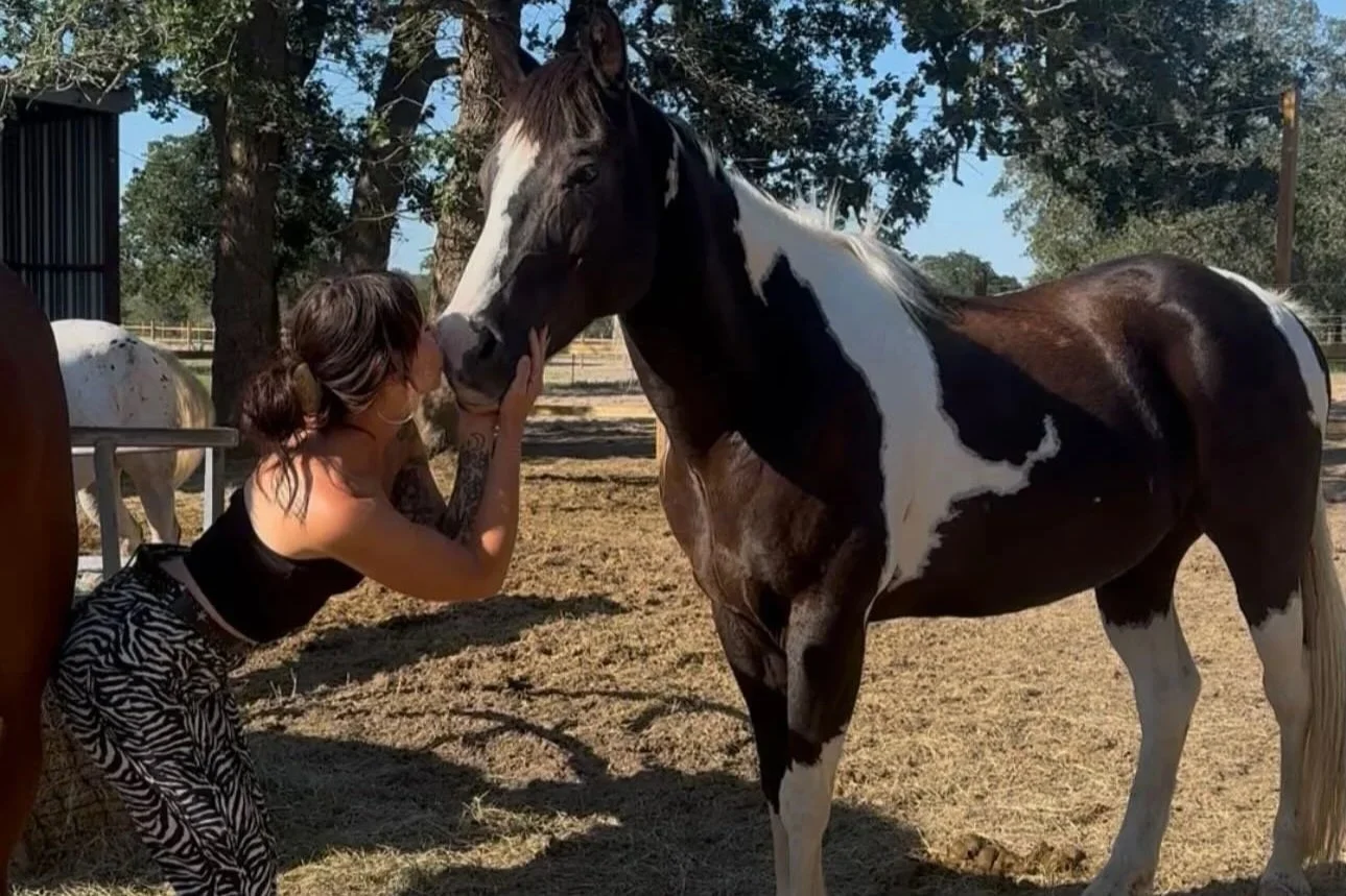 Morgan bonding with a paint horse through trust-based groundwork at The Gentle Cowgirl in Stockdale, TX — gentle, connection-focused horse training near San Antonio