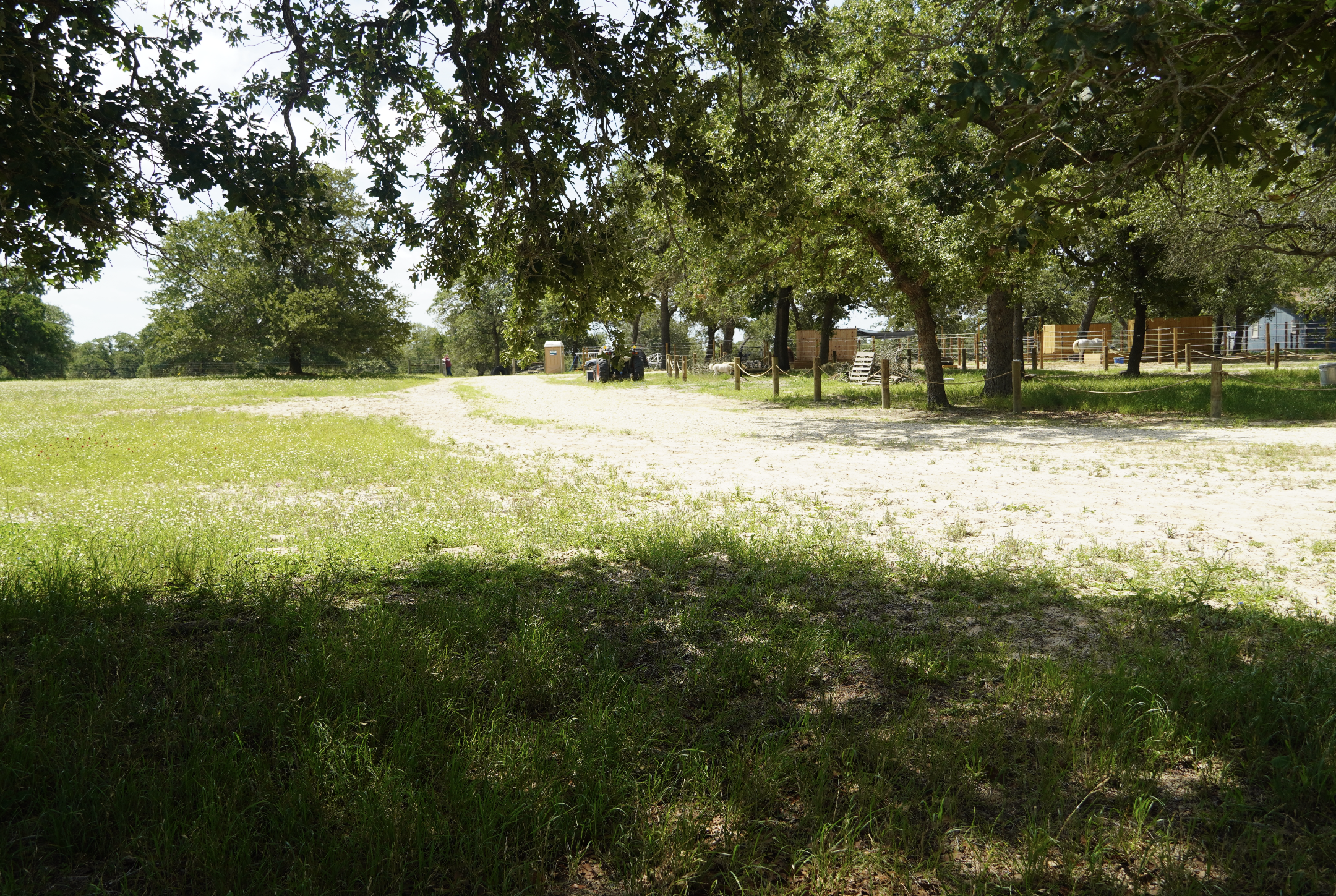 Scenic grounds and property at The Gentle Cowgirl in Stockdale, TX — peaceful horse boarding and riding facility with open pasture near San Antonio