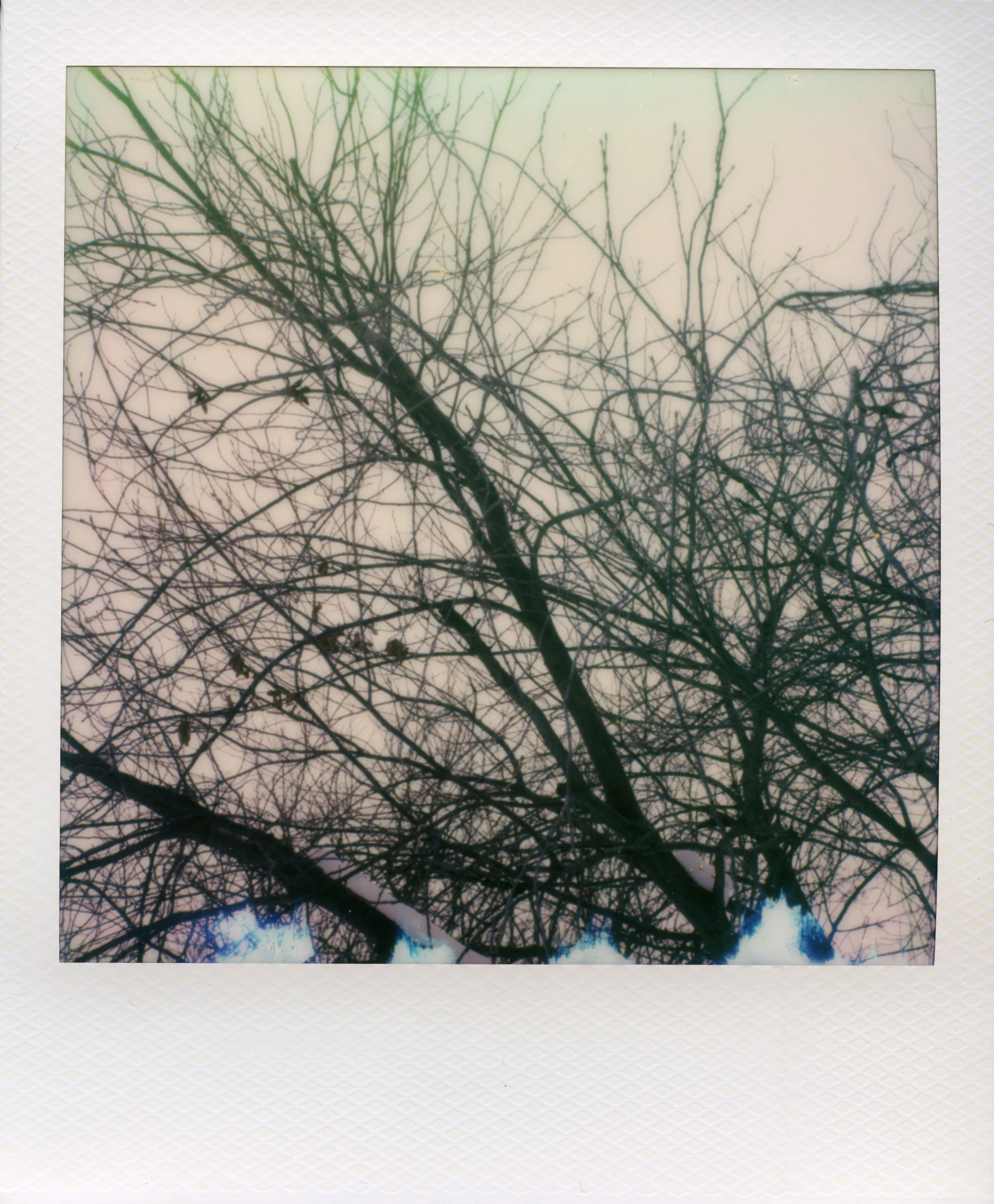 PolaroidScans(2:17:25)0003.jpg