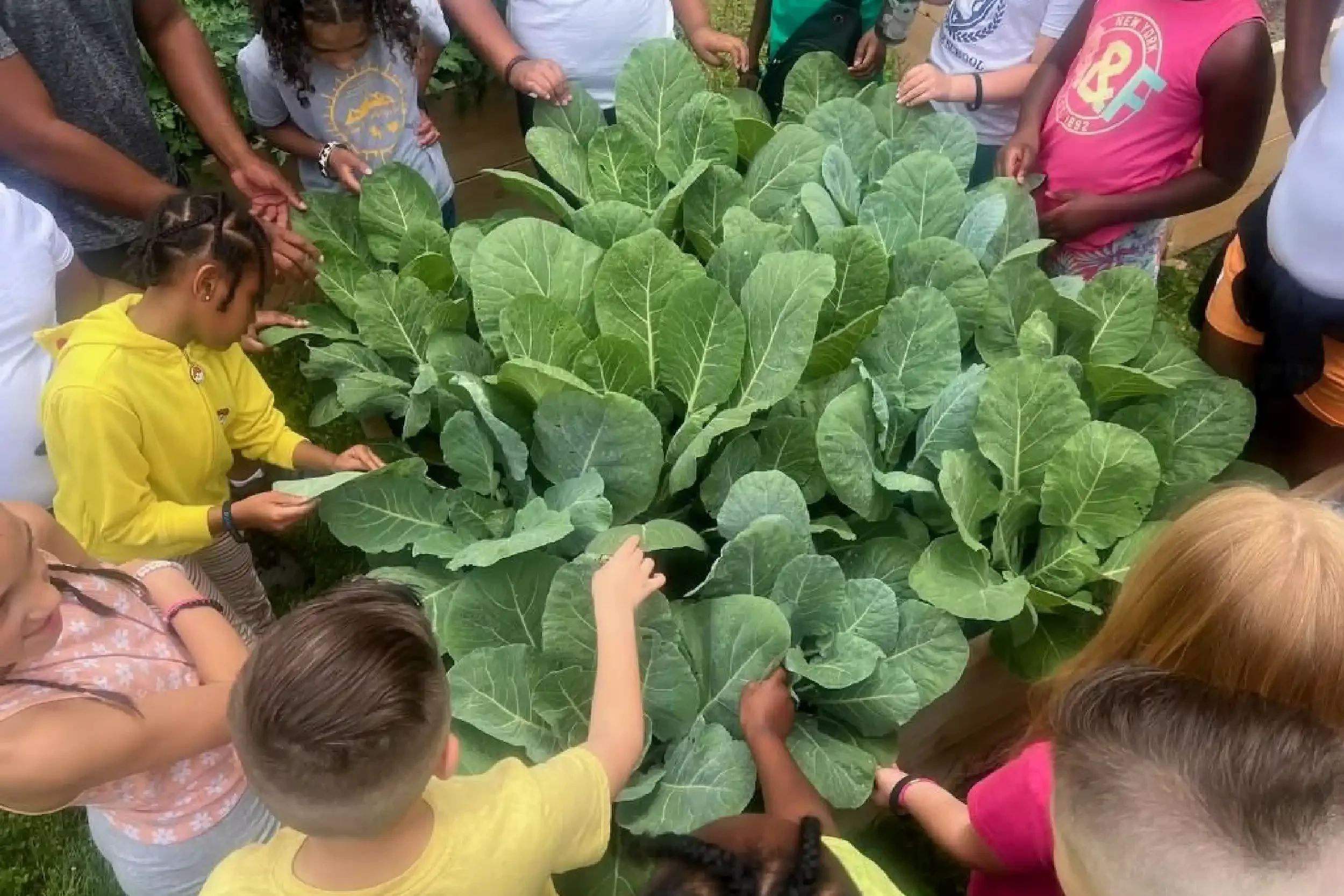 Children gathered around large green leafy plants in an outdoor garden.