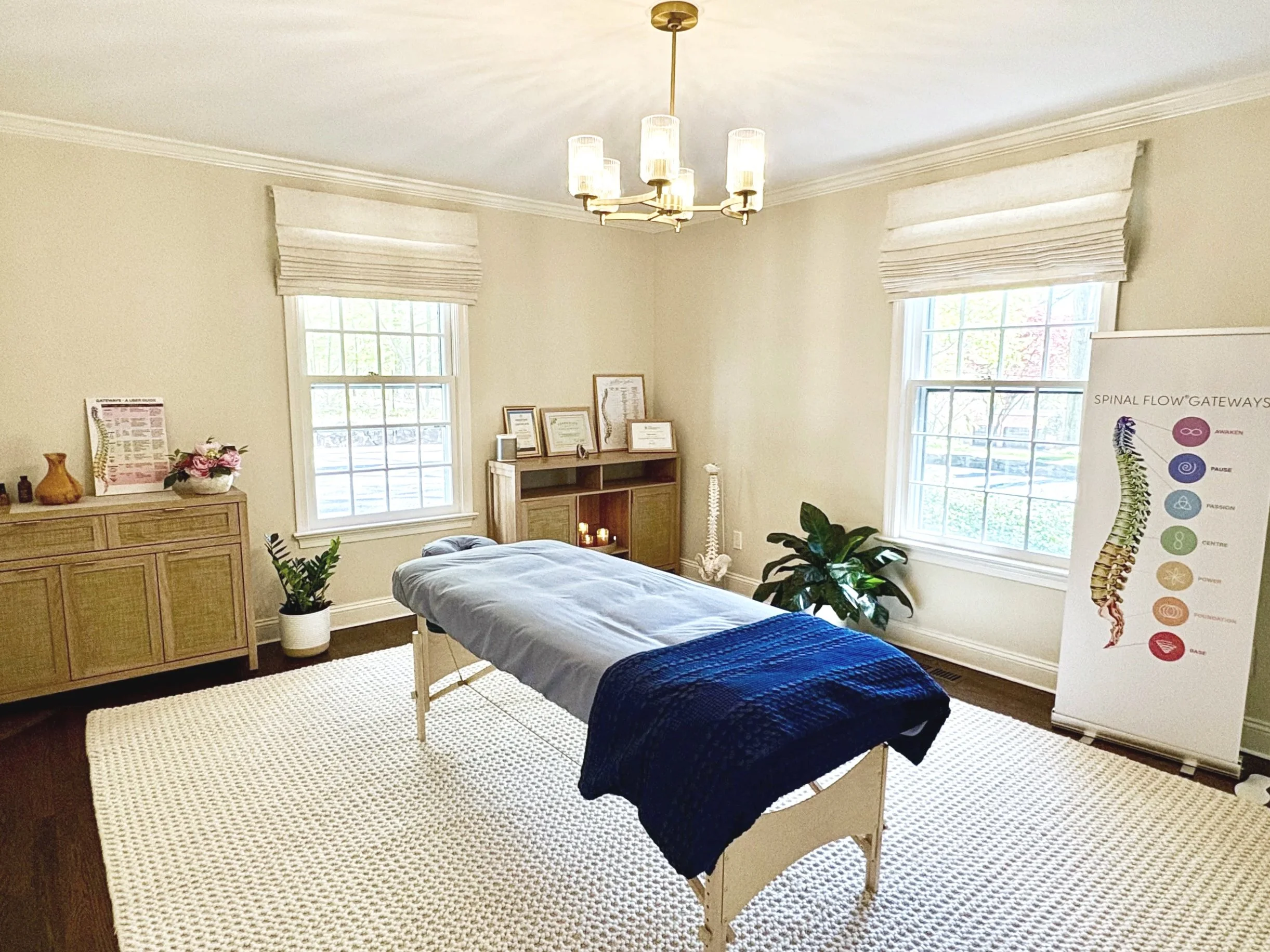 A treatment room with a massage table covered in a dark blue blanket, a cream-colored rug on dark hardwood floor, wooden cabinet with framed certificates, a white skeletal model, potted plants, and a poster about spinal flow gateways near two windows with white blinds and cream walls under a modern chandelier.