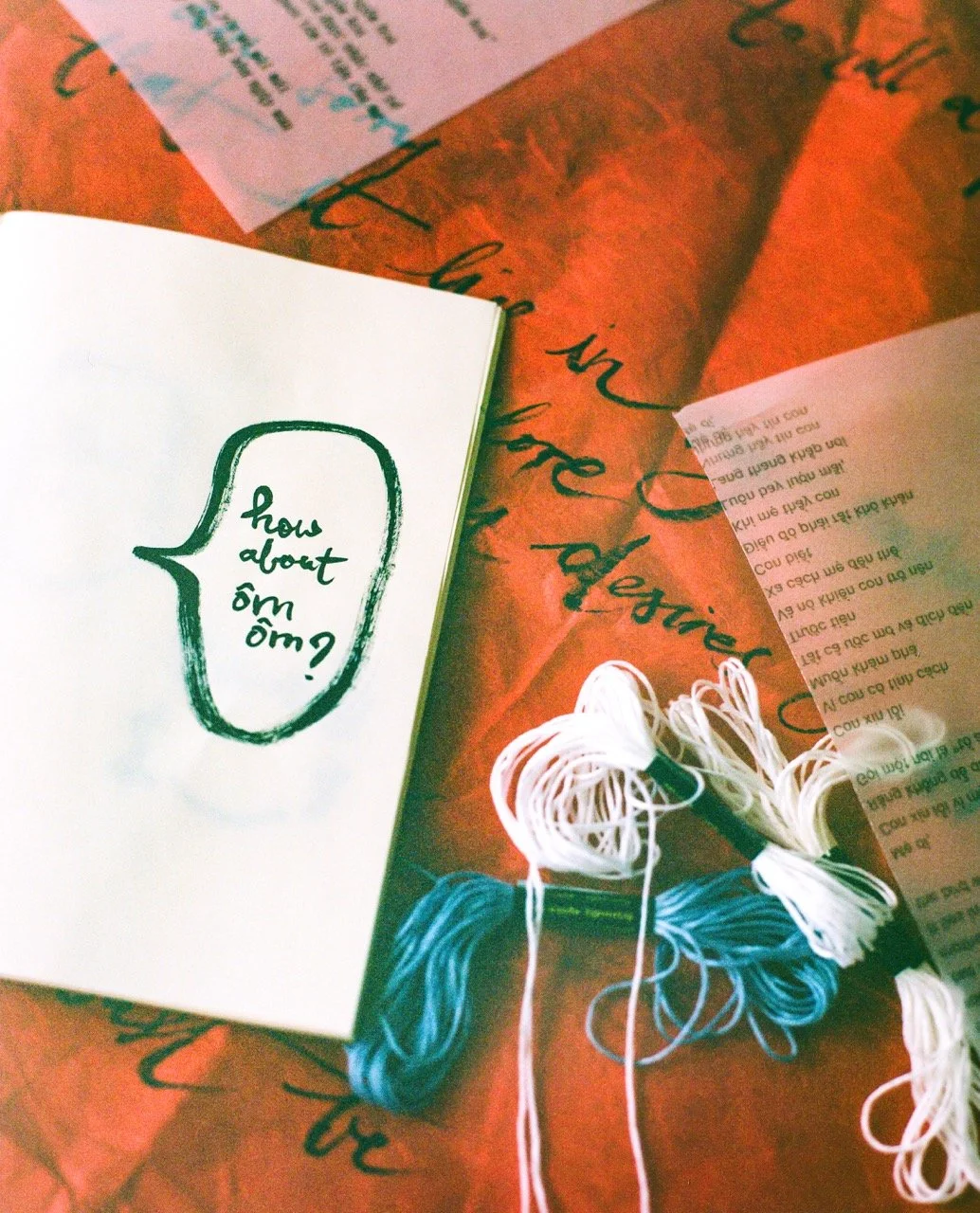ôm ôm snail mail // subscription