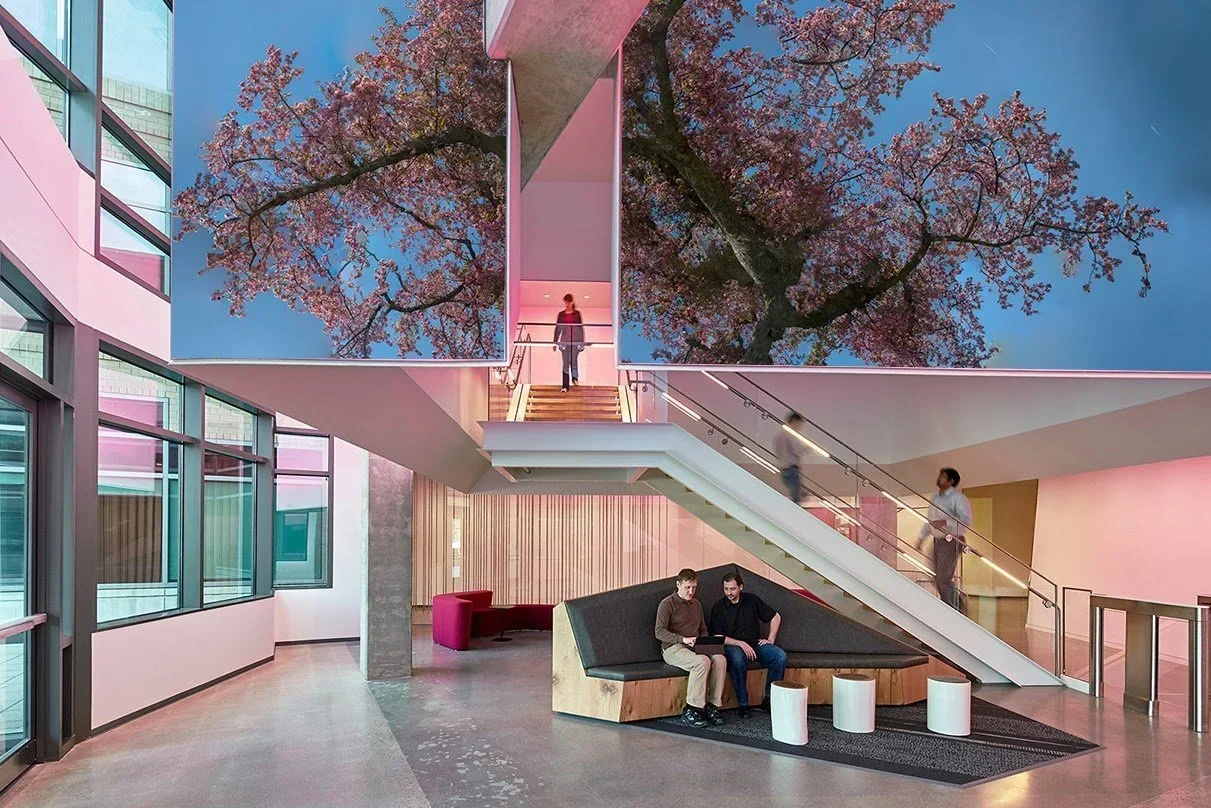 Harvard University (placemaking) (legacy) (culture)