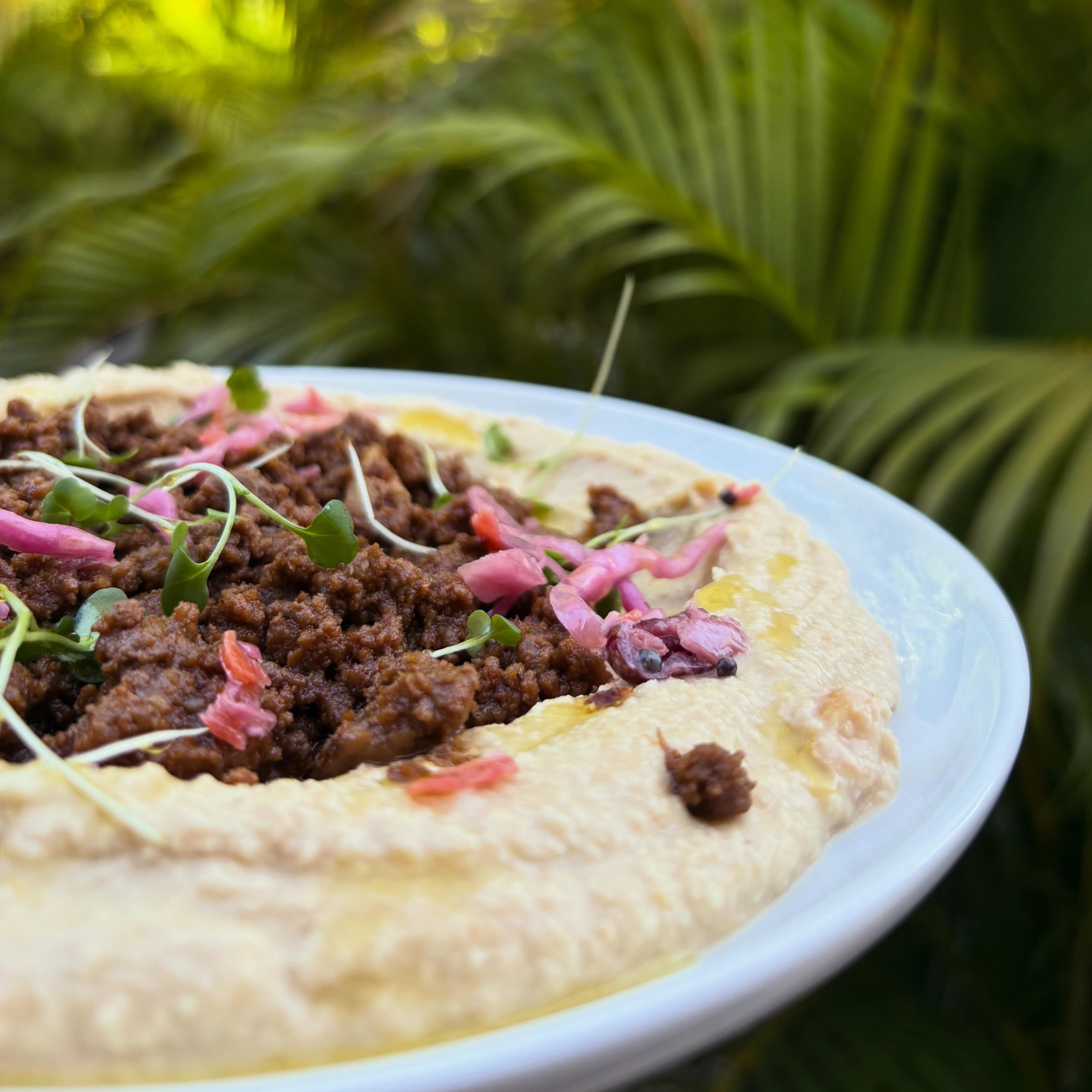 Casa de Campo.

House-made hummus, spiced beef, pickled onions, olive oil.

Kosher hospitality. Made properly.

KUGEL RD.