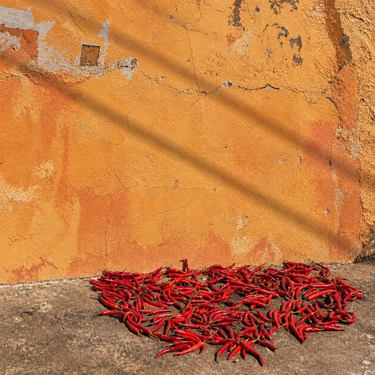 Hot peppers. Less of an ingredient, more of a house rule. 🌶️