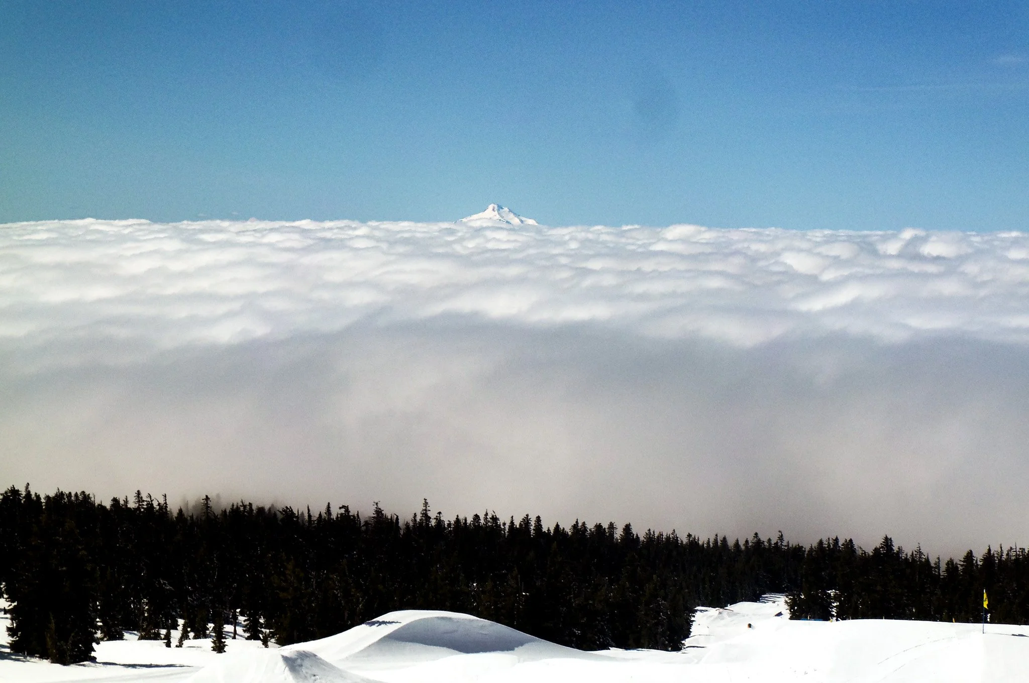 100_0430.jpg
