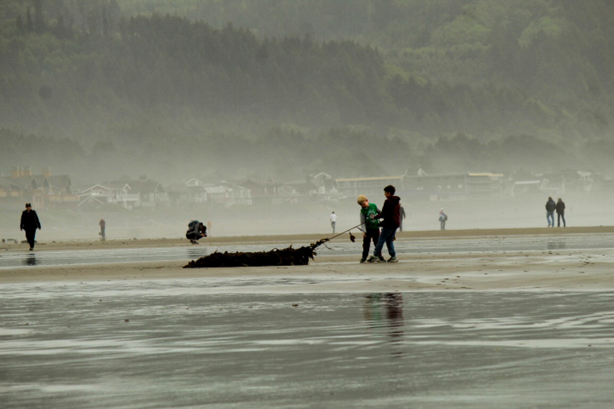 IMG_7925.jpg