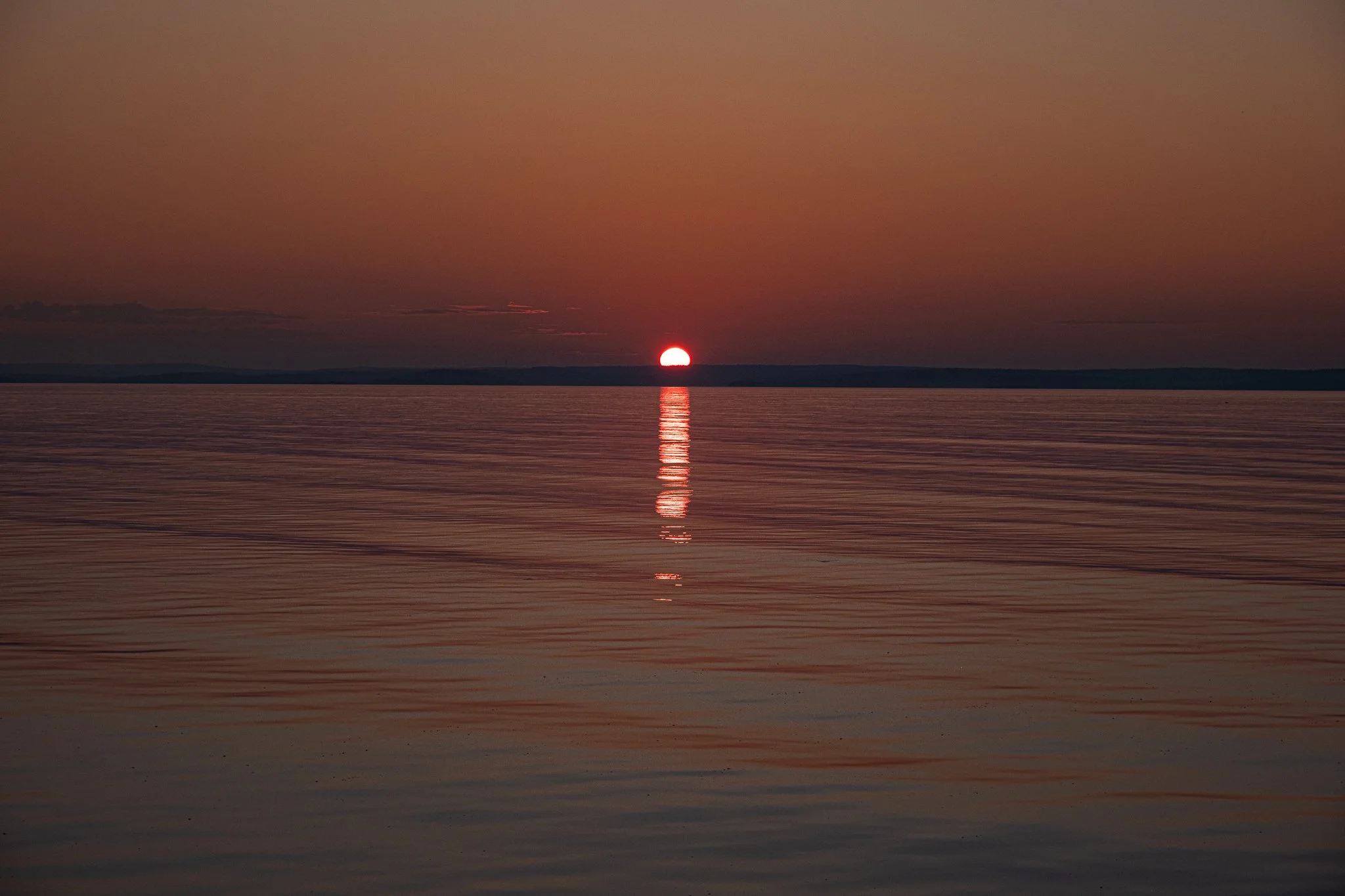 DSCF2149.jpg