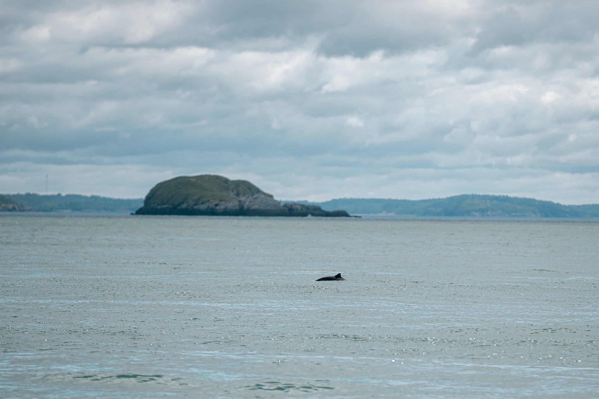 DSCF2572.jpg