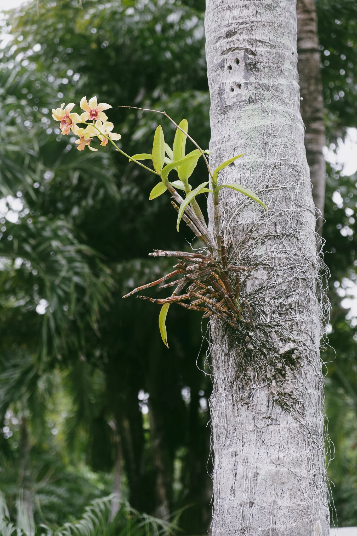 DSCF3524-2.jpg