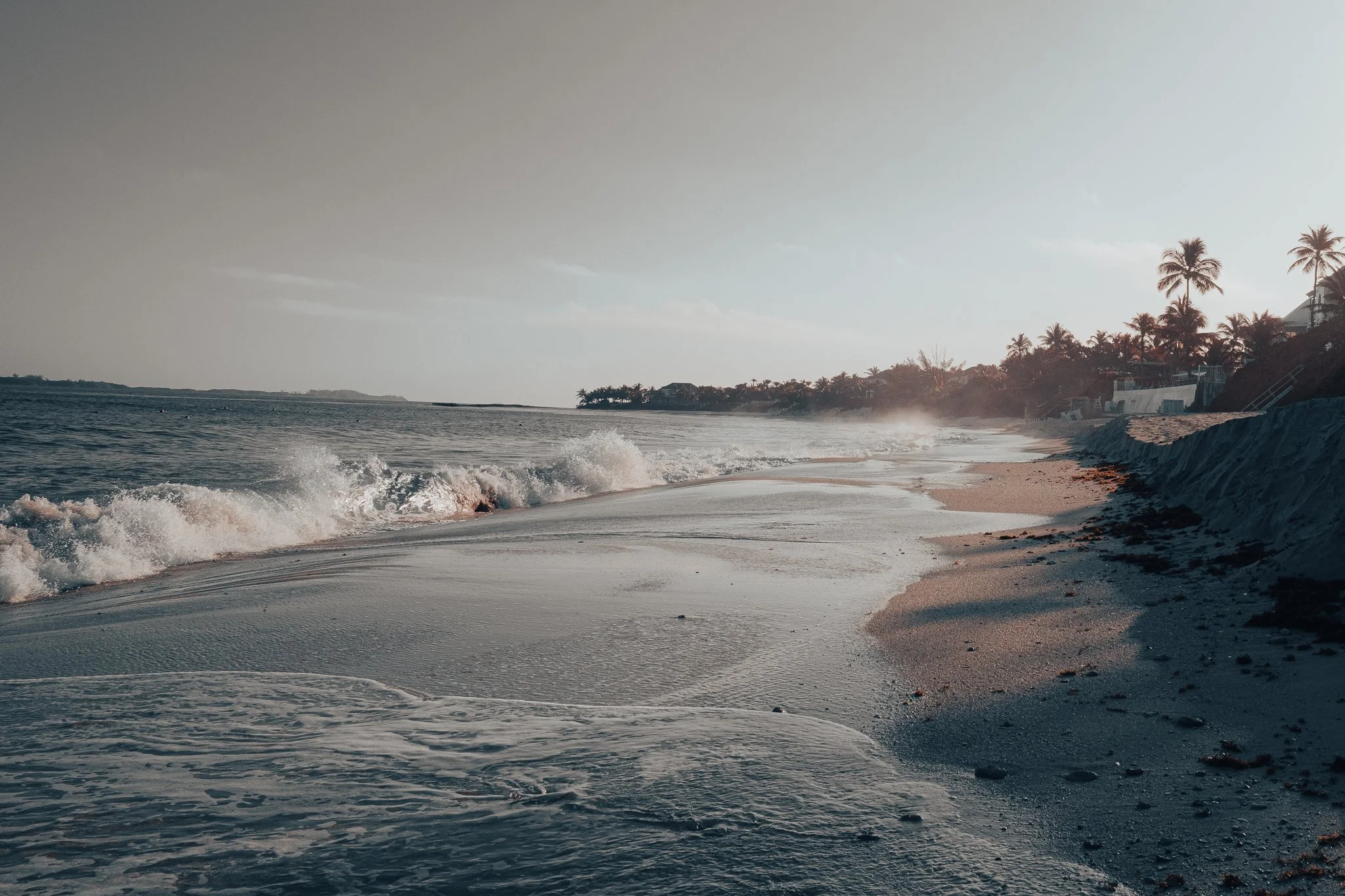 DSCF3670.jpg
