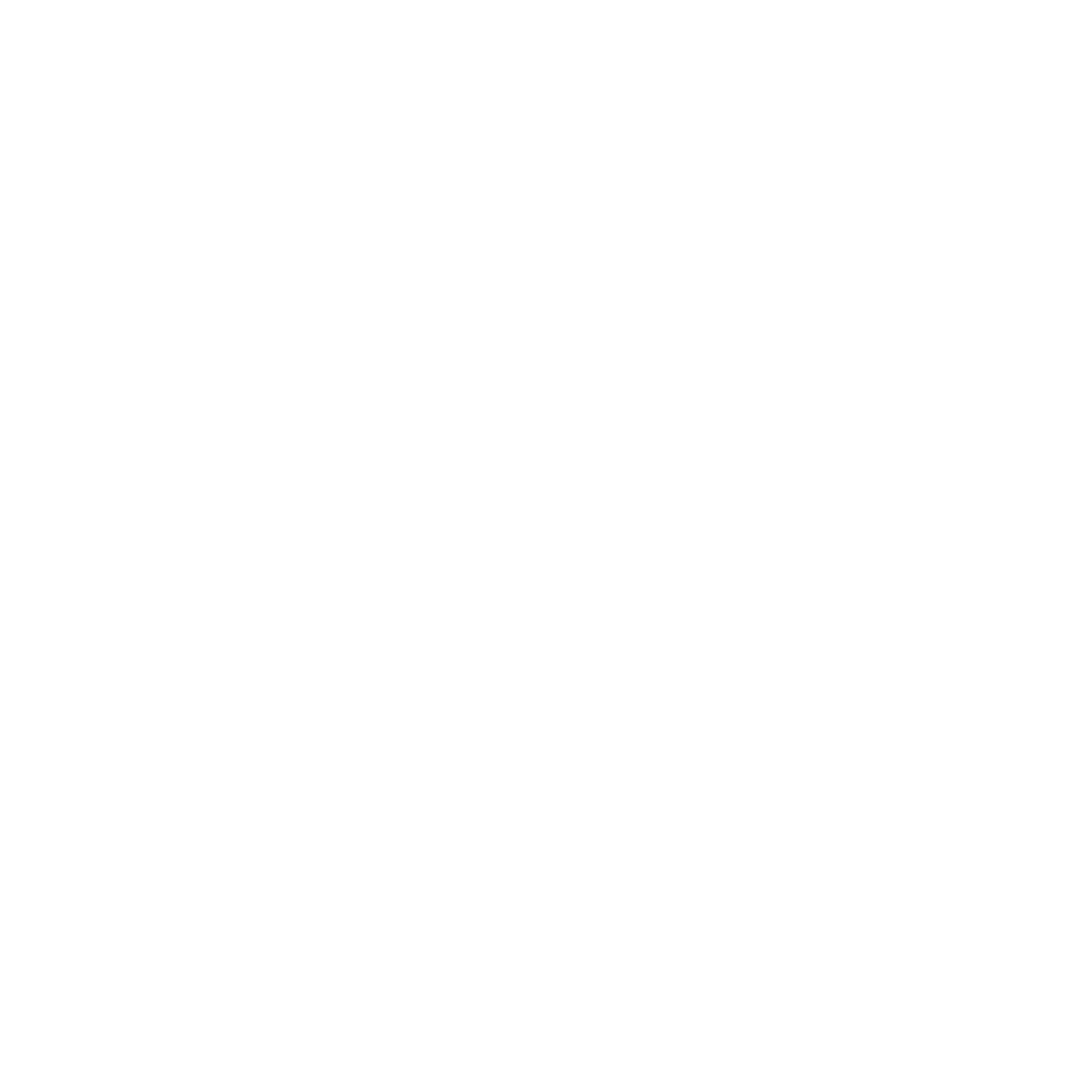 Eric Levi Designs