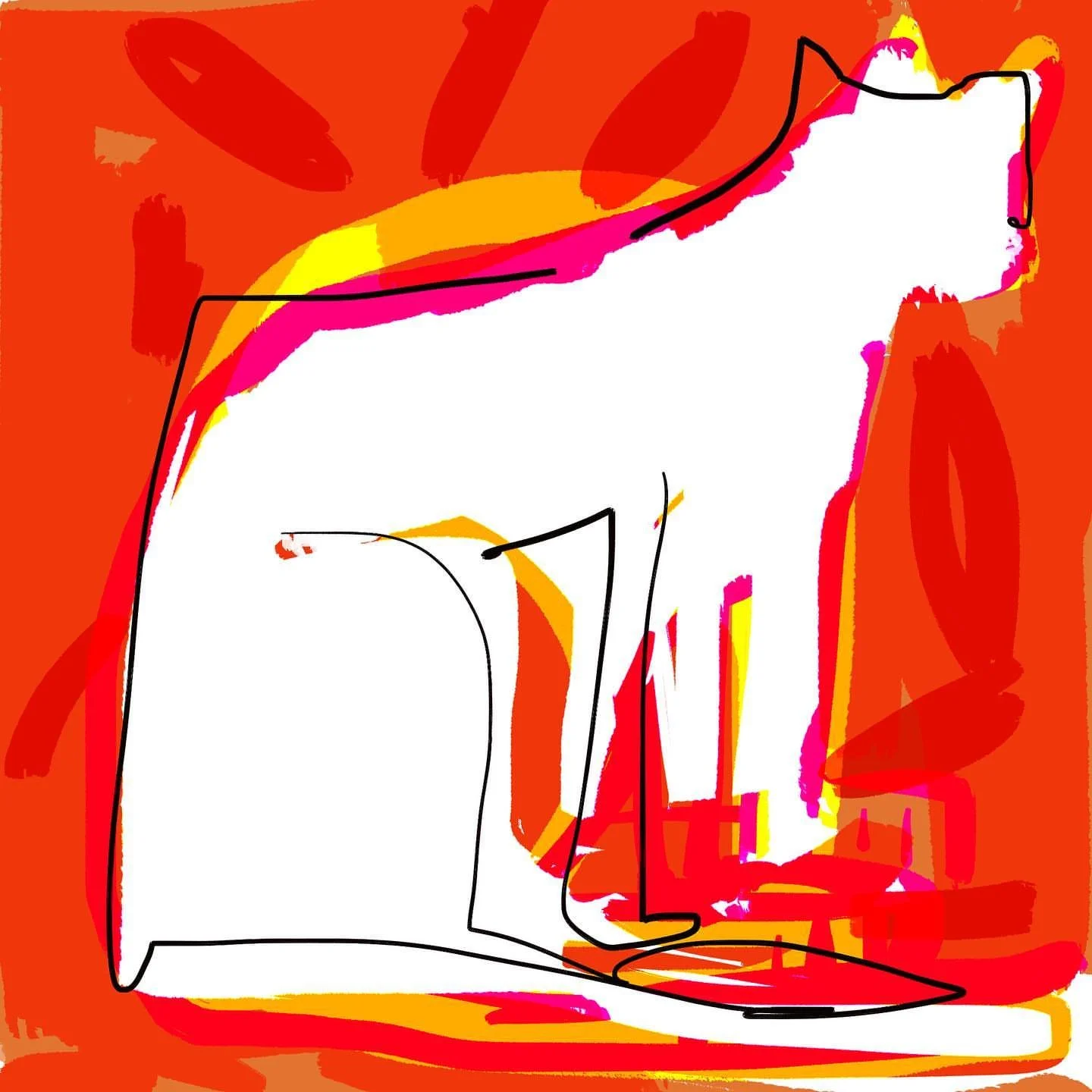 Cat.jpg