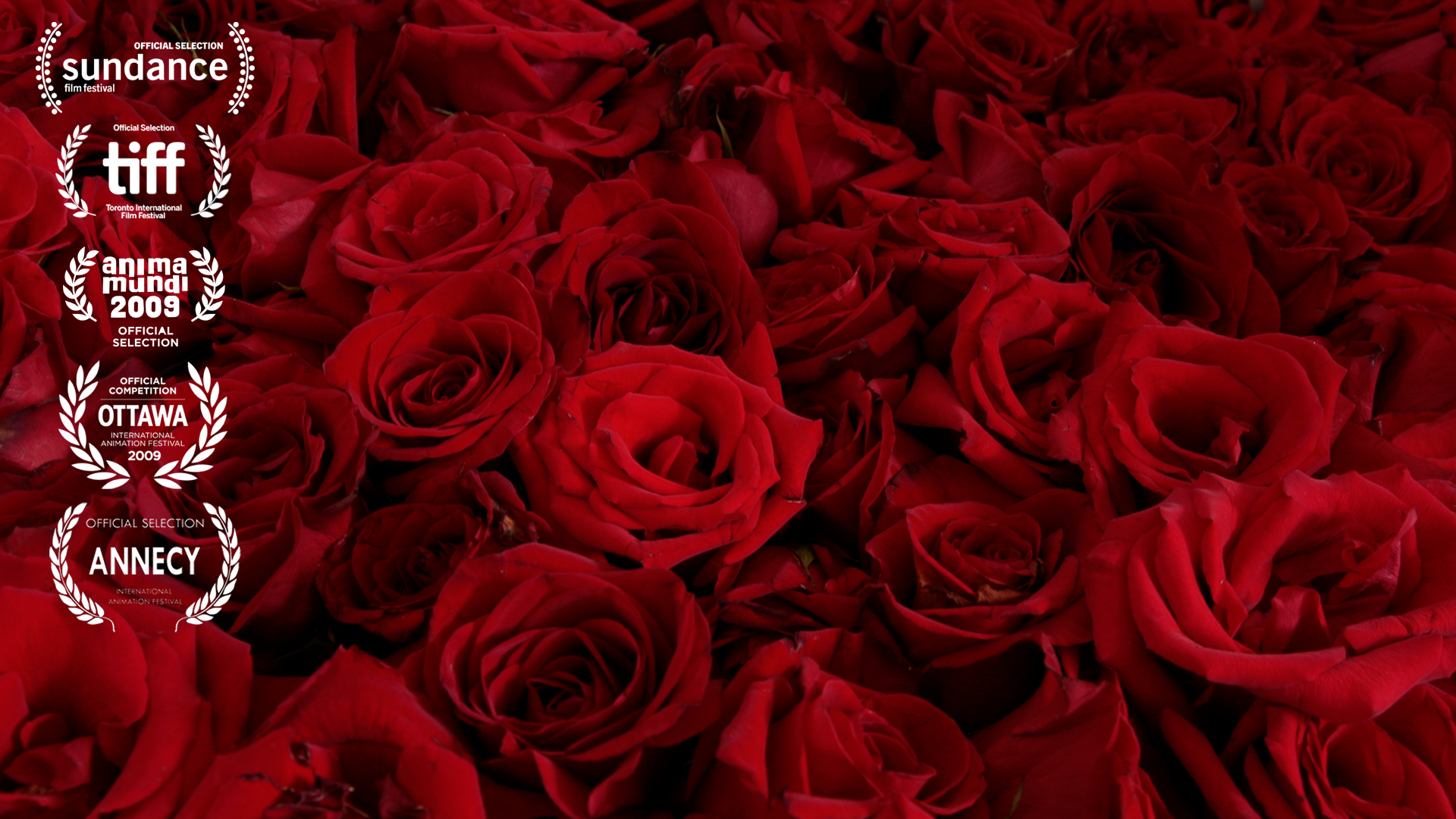 Vive la Rose