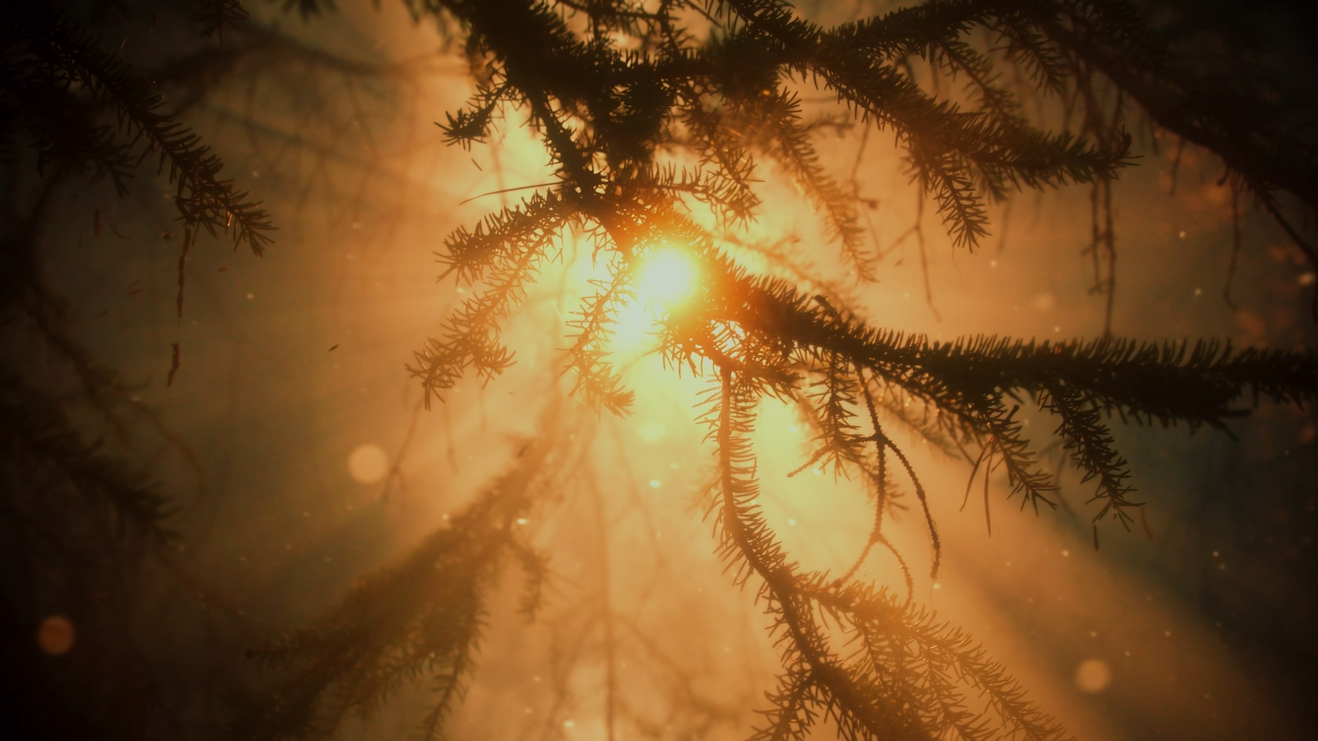 HODNA_Stills_PLI_066.png