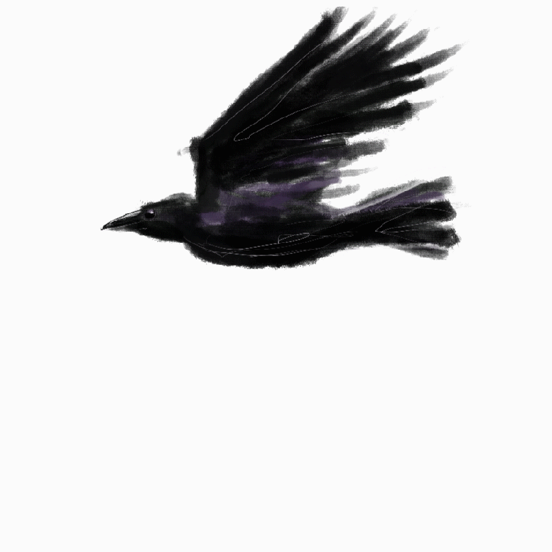 Crow_v001.gif