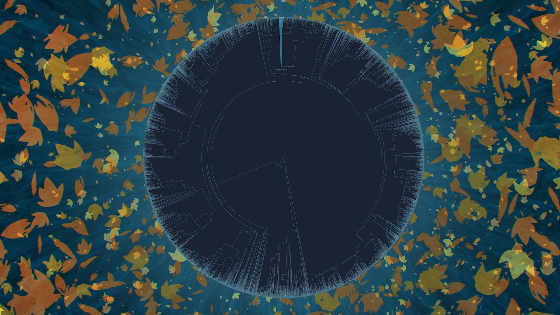 HODNA_Stills_ROT_025.png