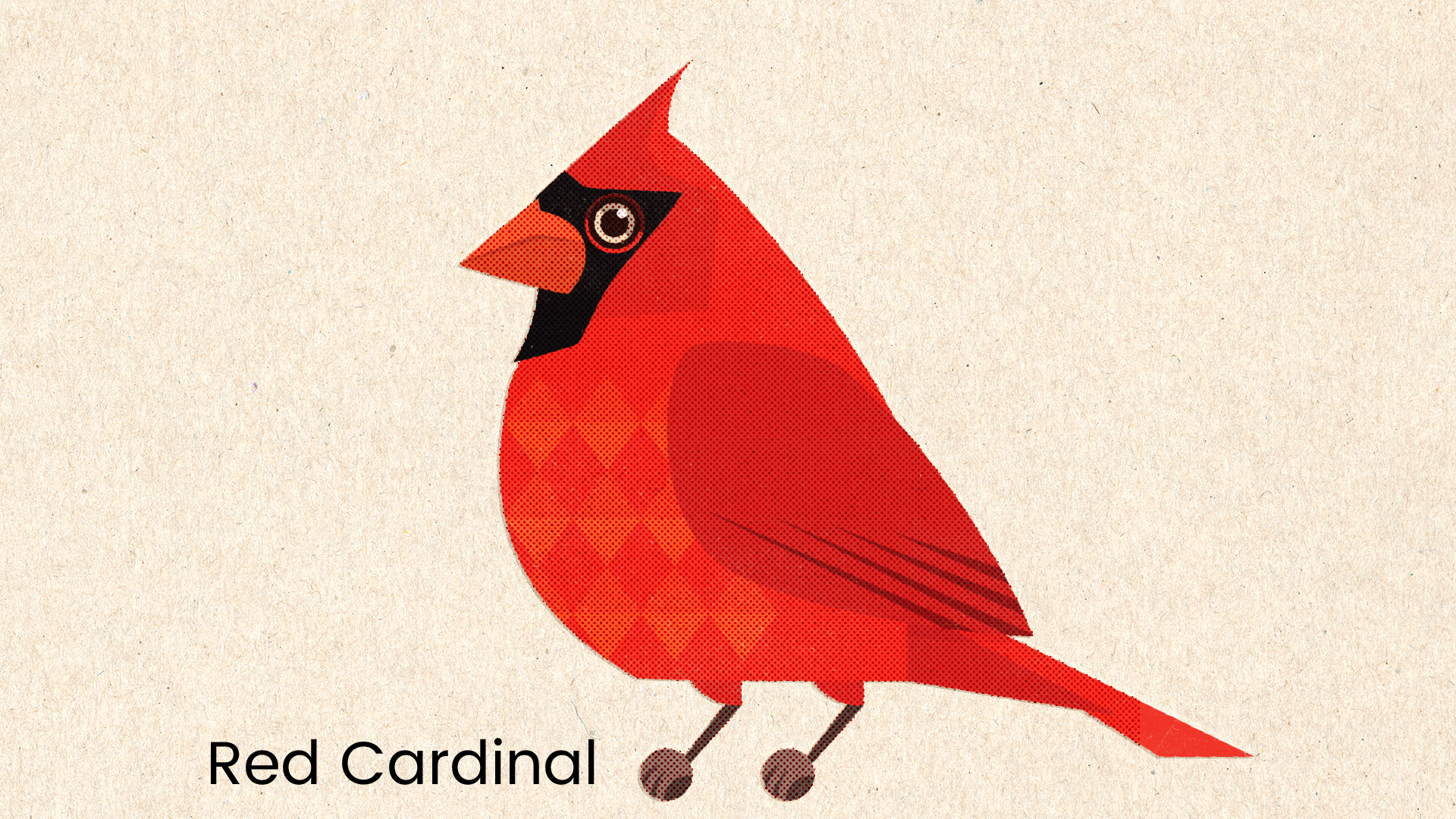 Red Cardinal.png