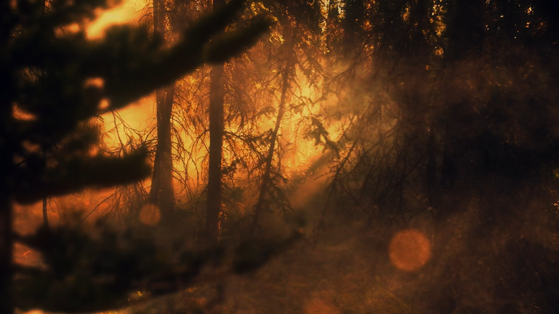 HODNA_Stills_PLI_064.png