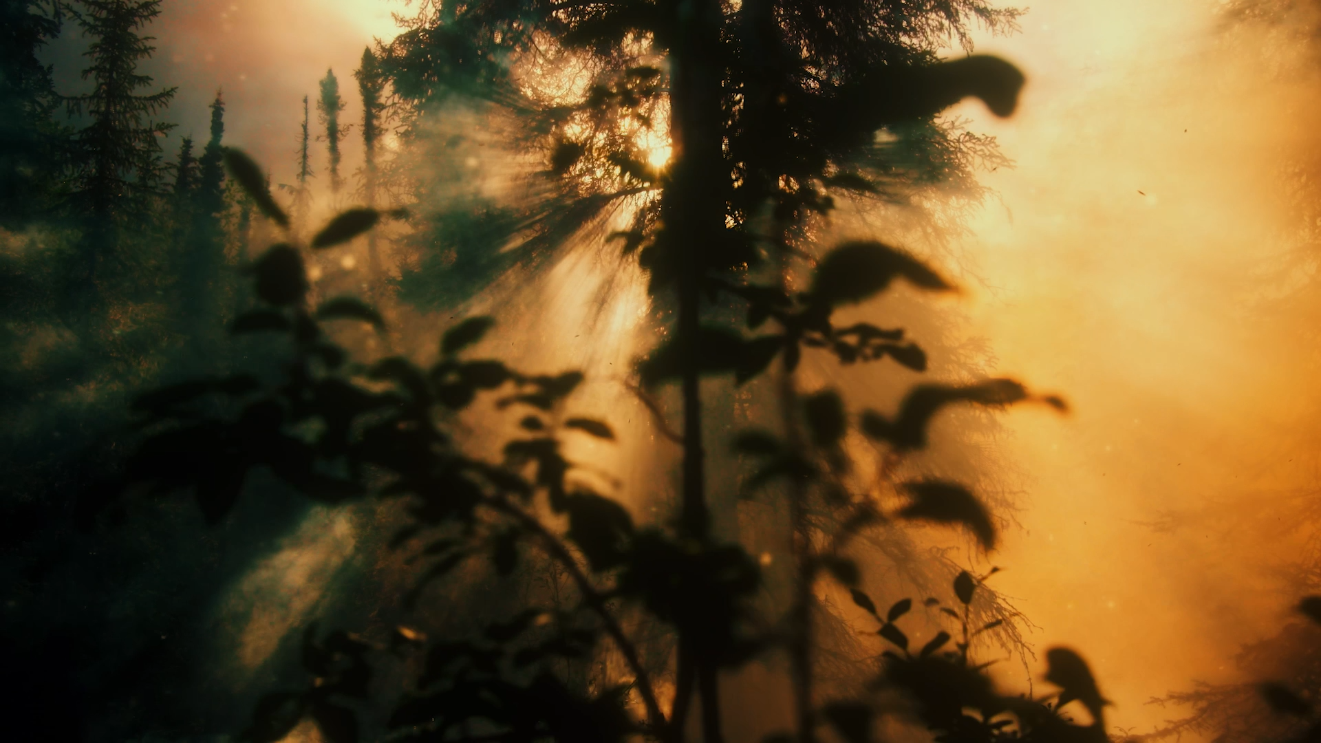HODNA_Stills_PLI_065.png
