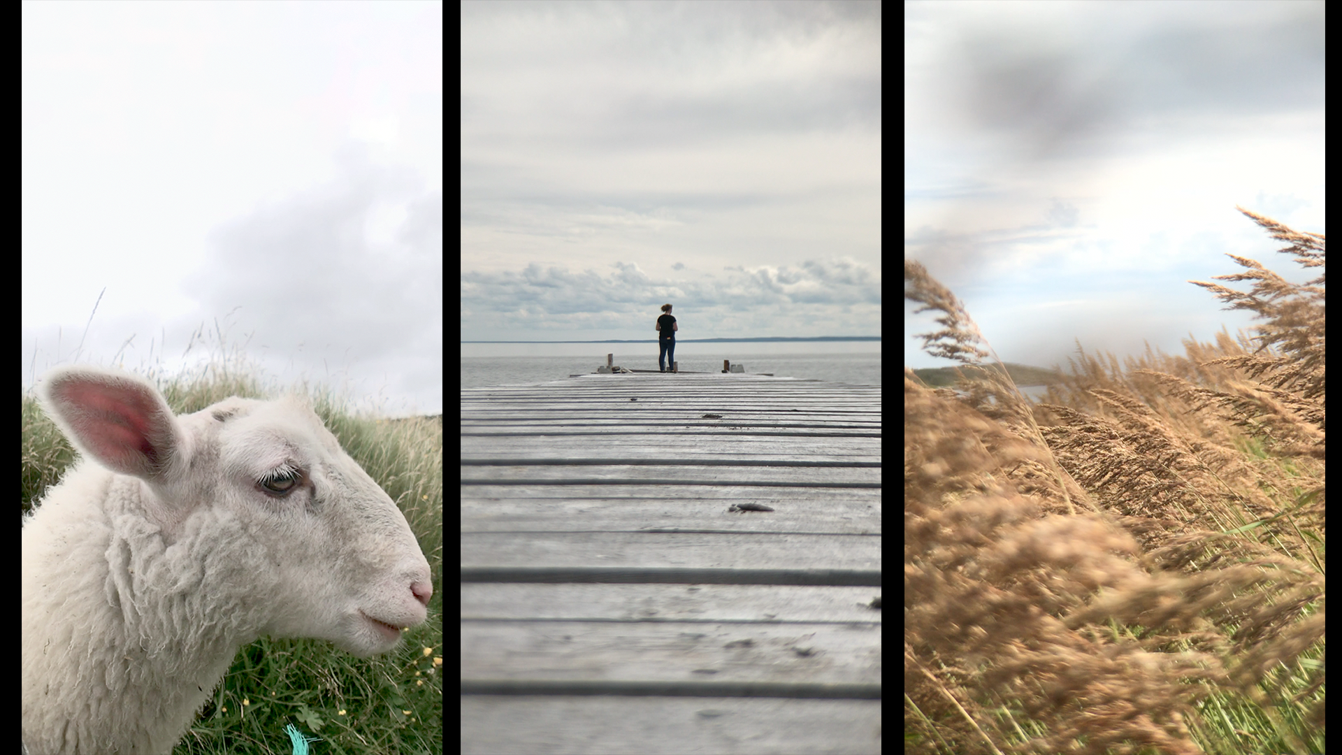 FAFFA_screenpix_05-Outdoors.png