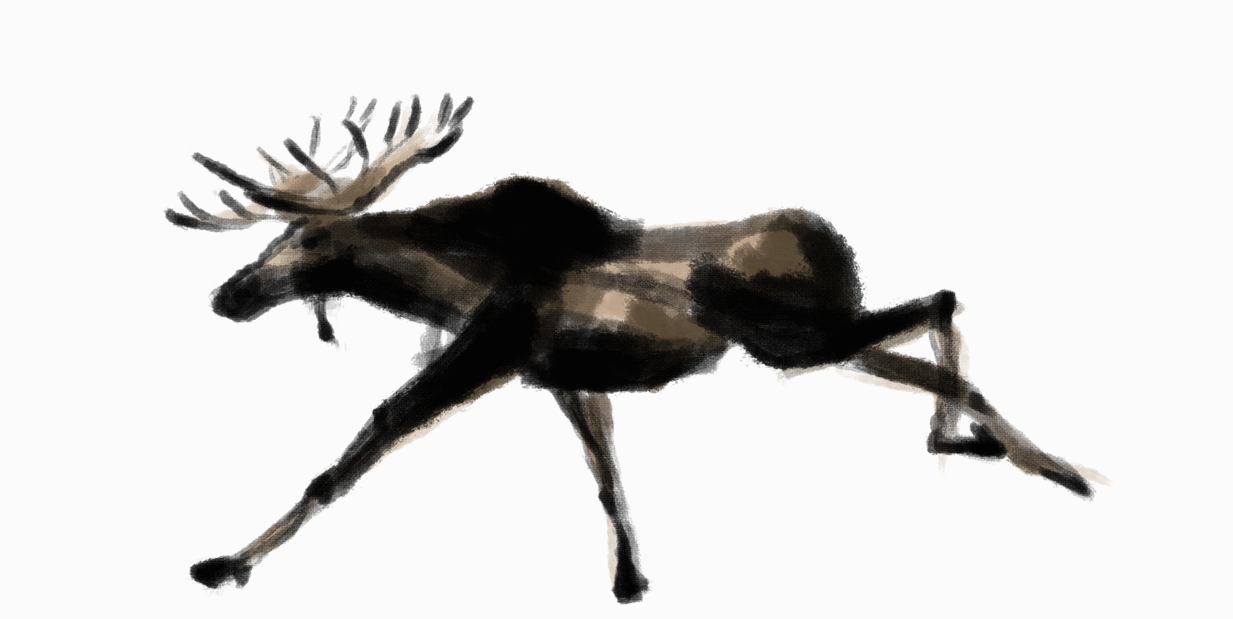 Run_MOOSE_v102.gif