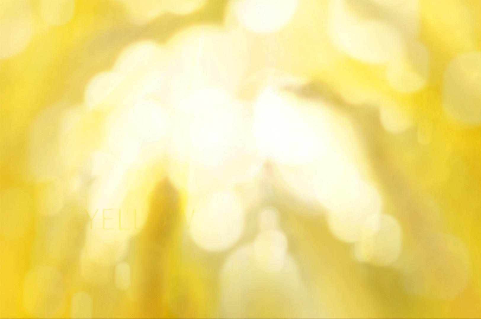 Paint_10.png
