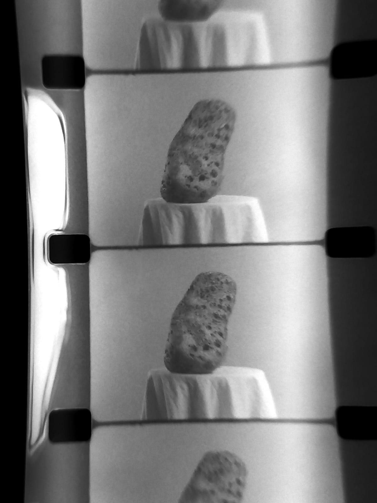 Metamorfosis del viento