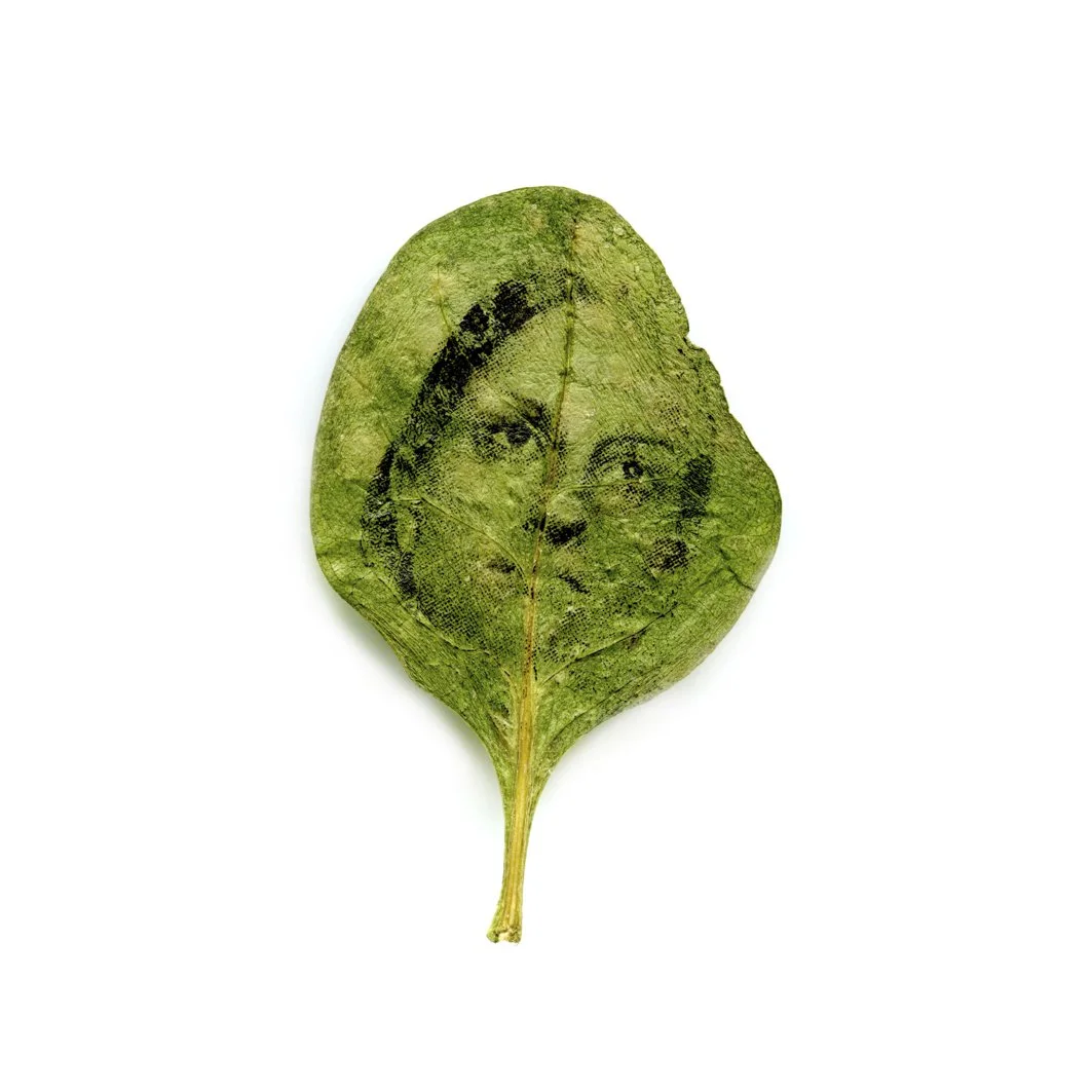 leaf melo.jpg