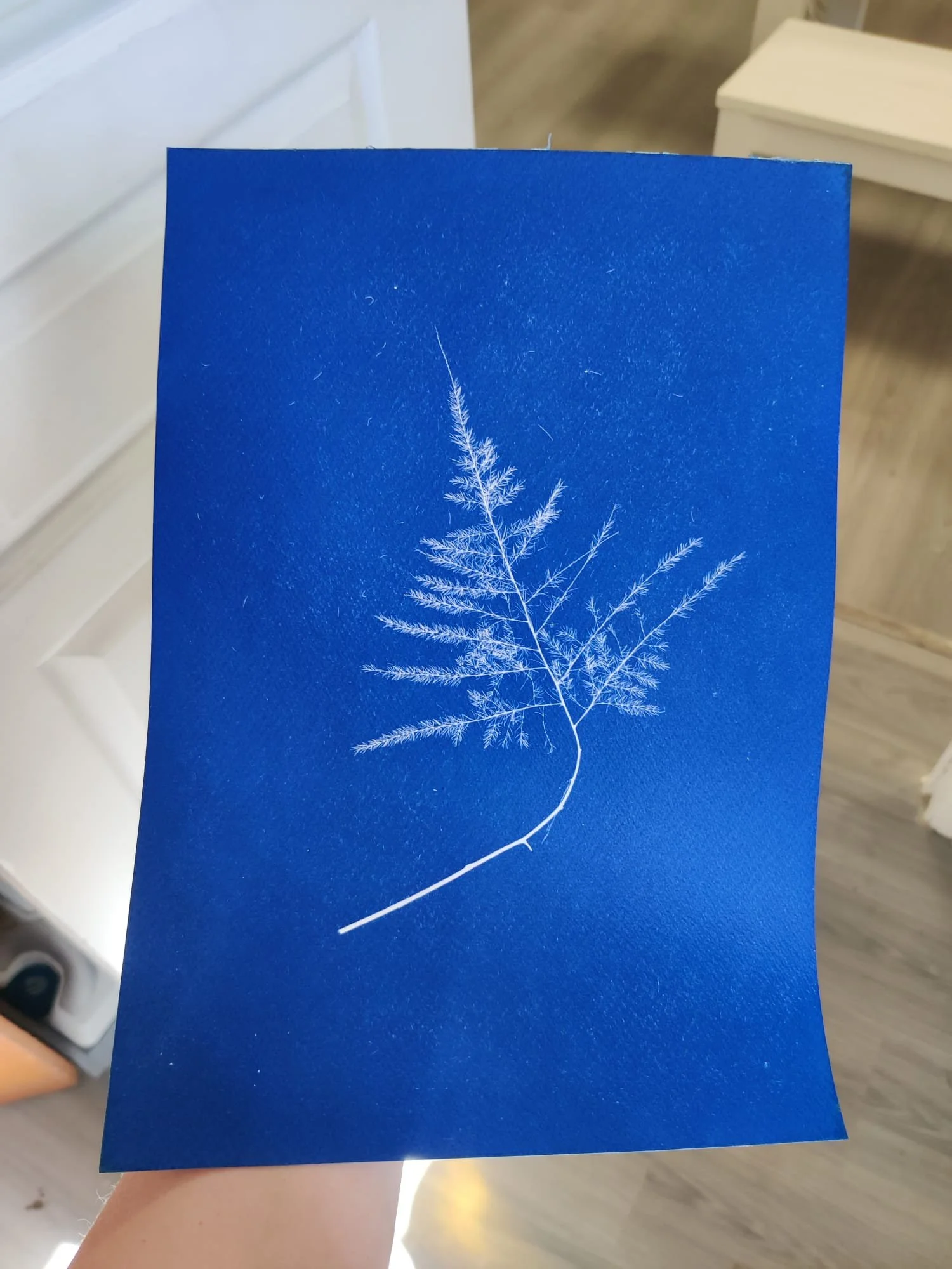 WhatsApp Image 2026-04-14 at 12.48.35-2.jpeg