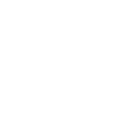 The Ties Foundation