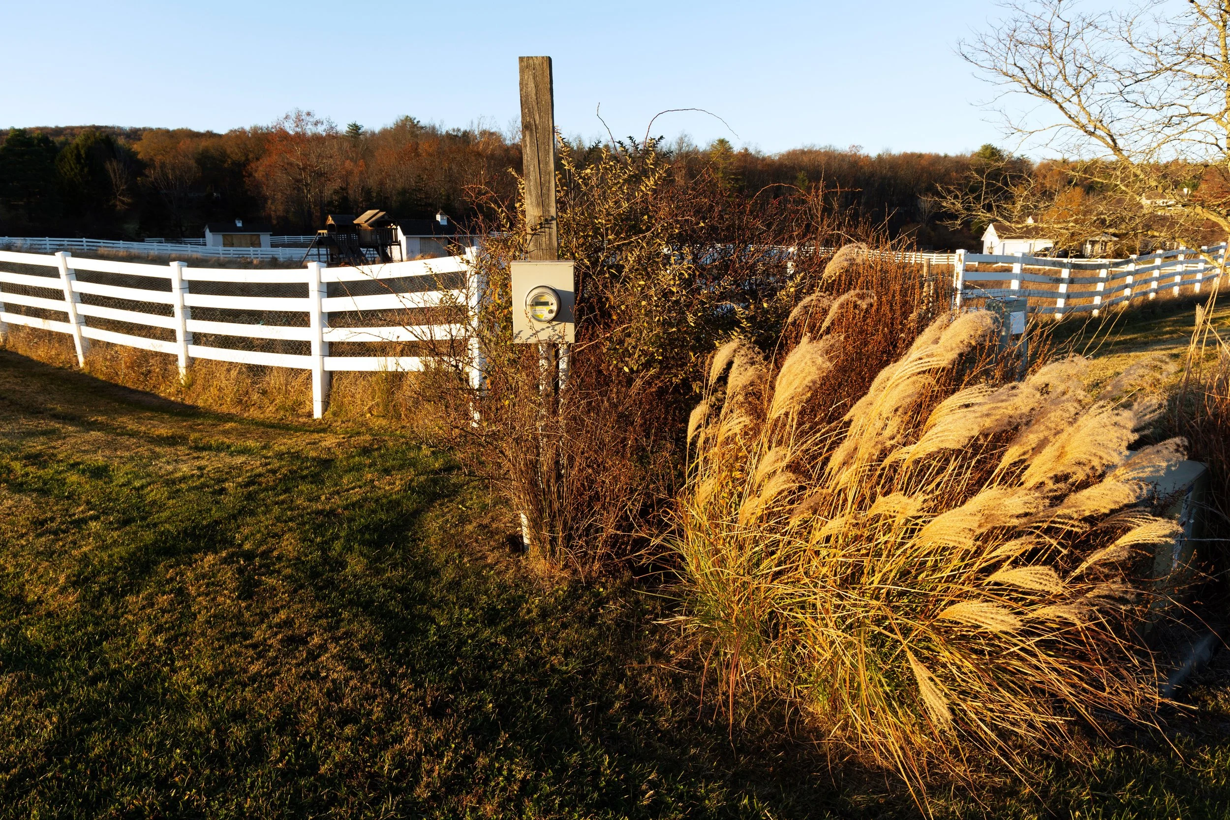 ThirdShoot_060-1.jpg